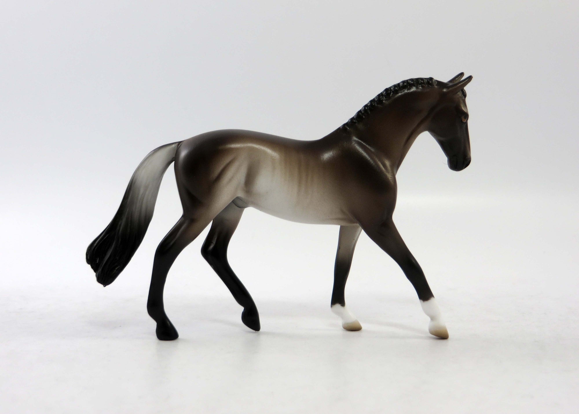 MACON-OOAK BAY RABICANO WARMBLOOD CHIP EQ 2018