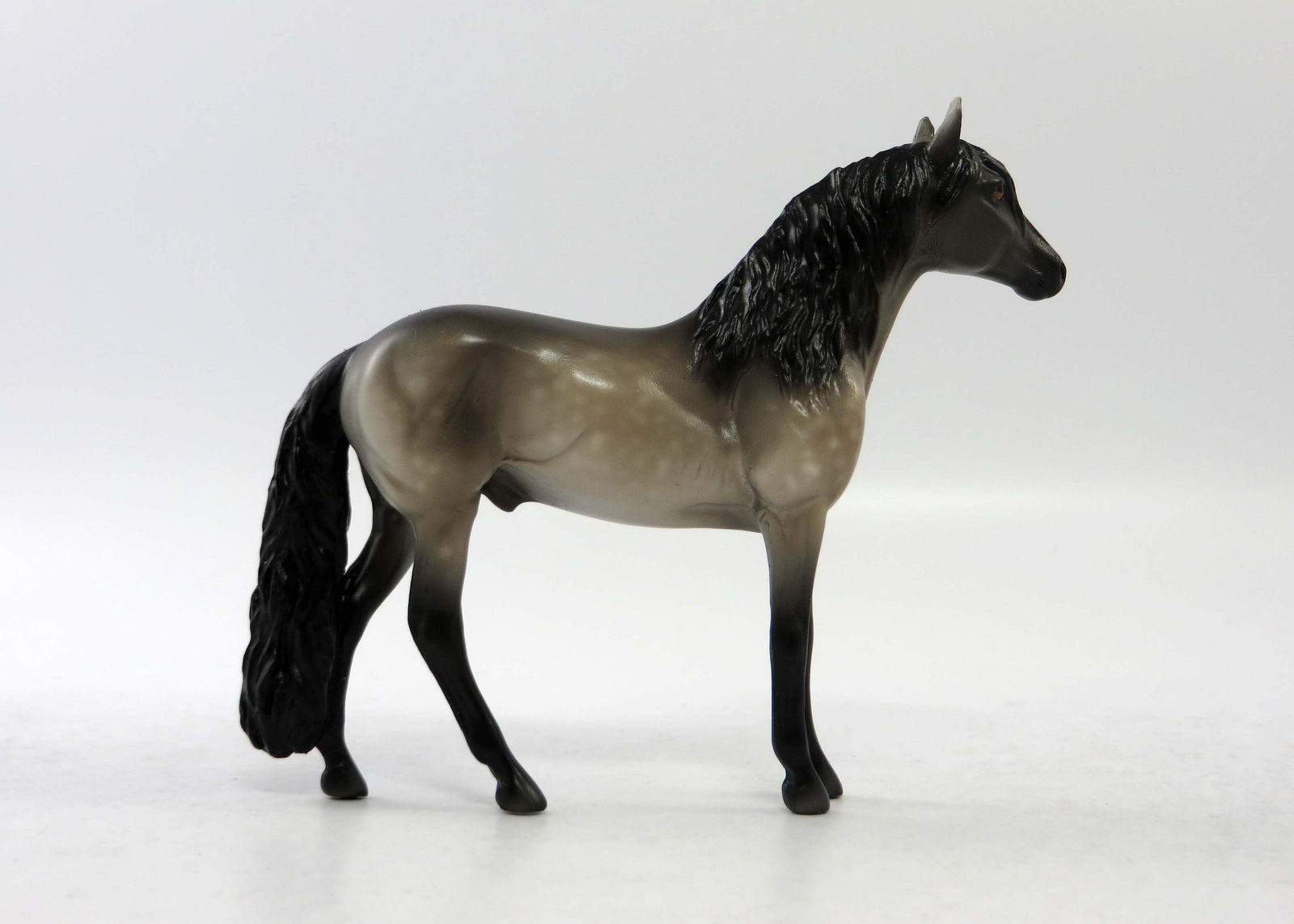 PHILO-OOAK BAY RABICANO ANDALUSIAN EQ 2018