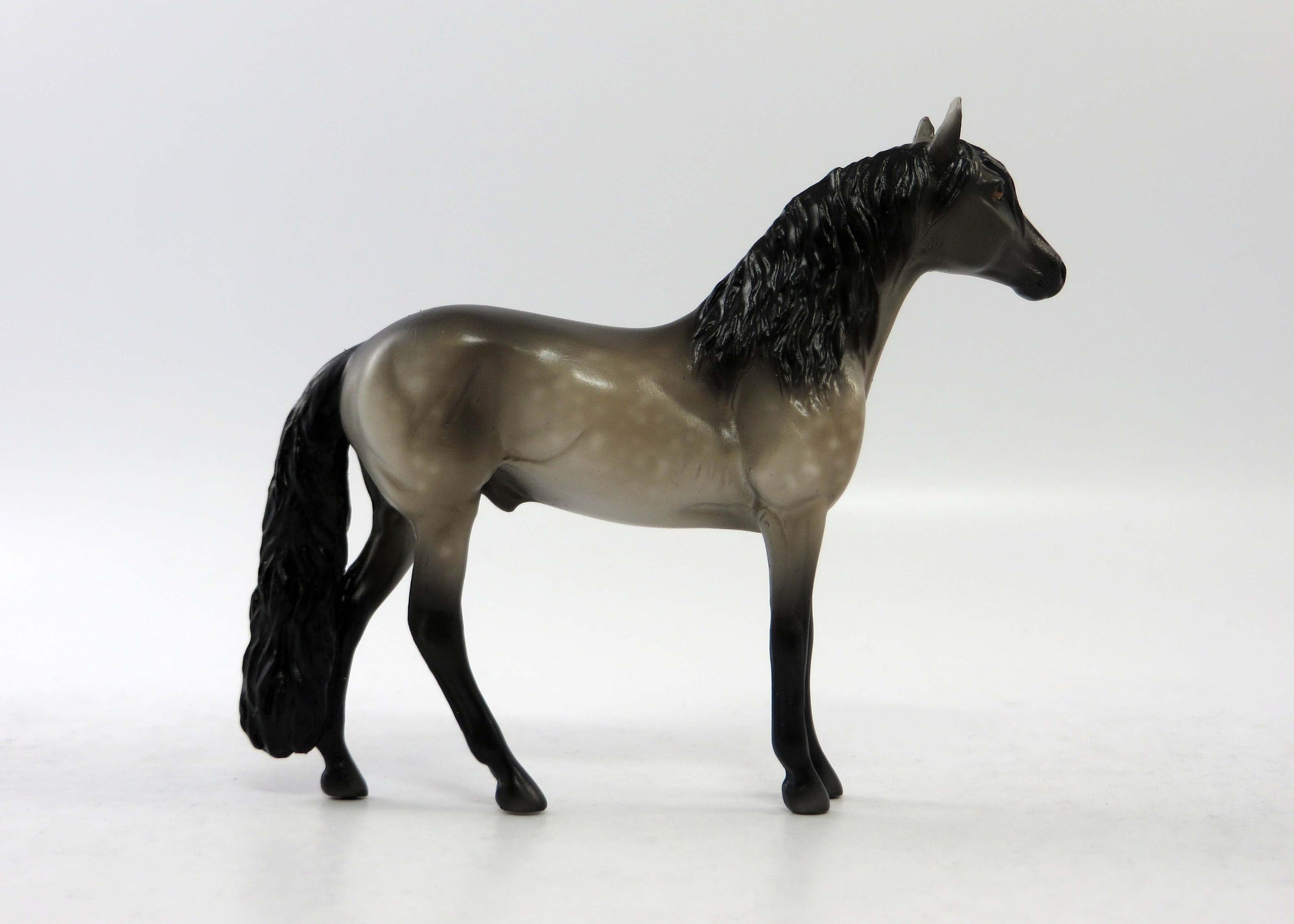 PHILO-OOAK BAY RABICANO ANDALUSIAN EQ 2018