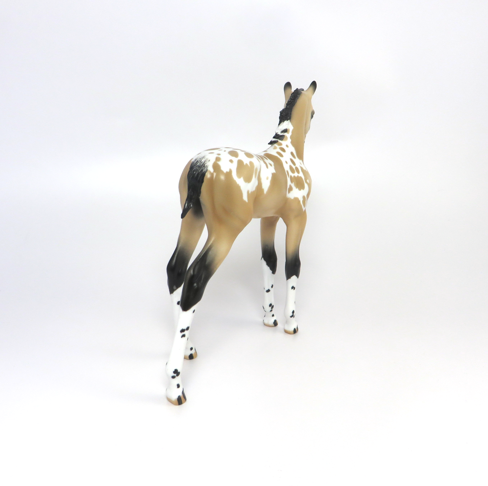 SAGE- OOAK BUCKSKIN APPALOOSA ARABIAN FOAL CUSTOM BY AUDREY DIXON MW19