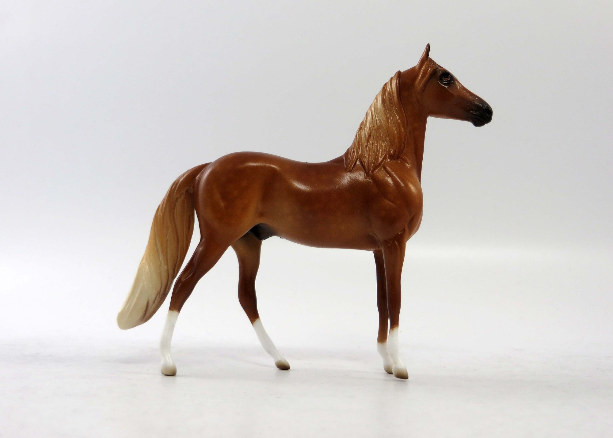 RAMSEY-OOAK DAPPLE CHESTNUT MORGAN CHIP EQ 2018