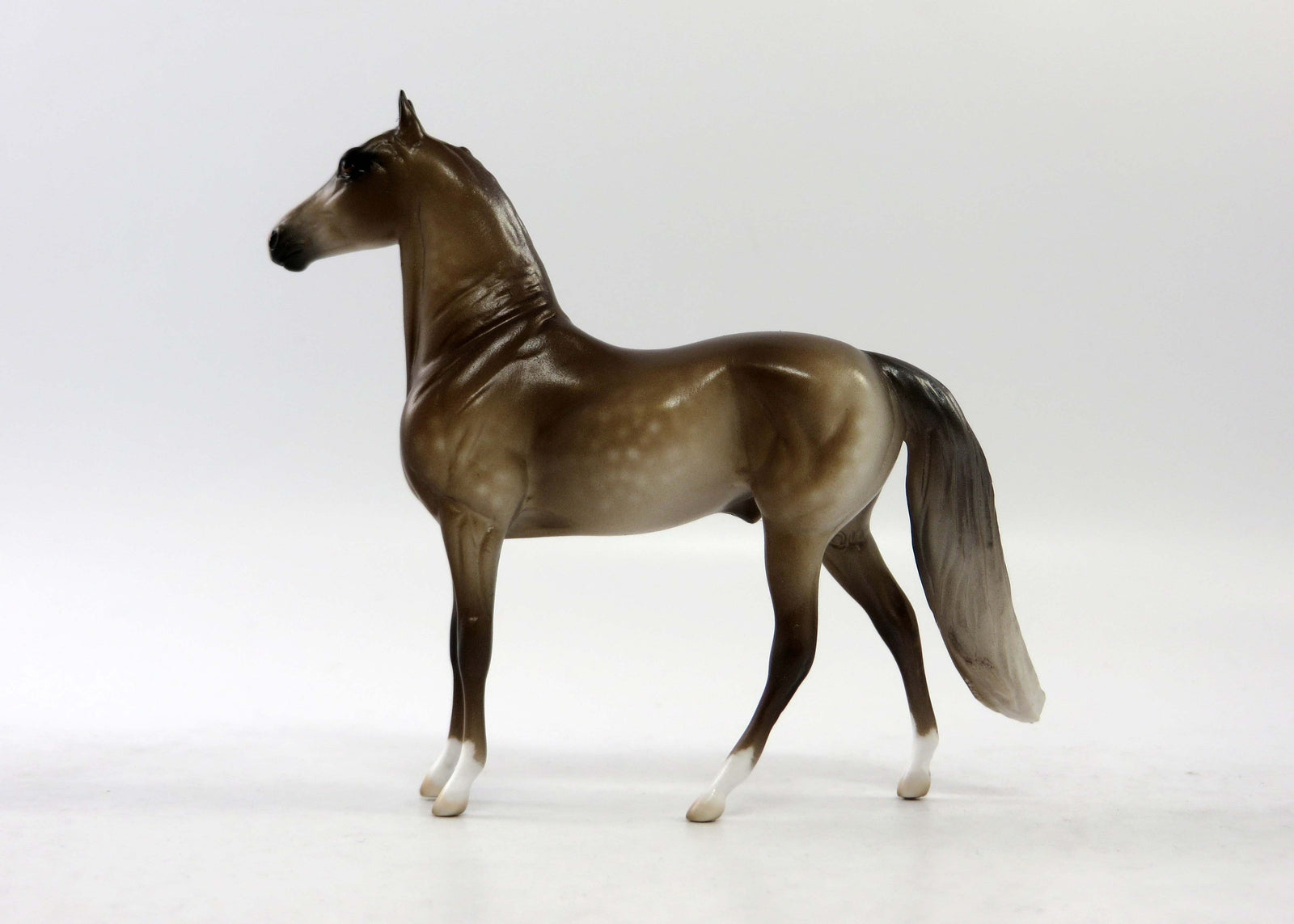 LOGAN-OOAK DAPPLE GRULLA MORGAN CHIP EQ 2018