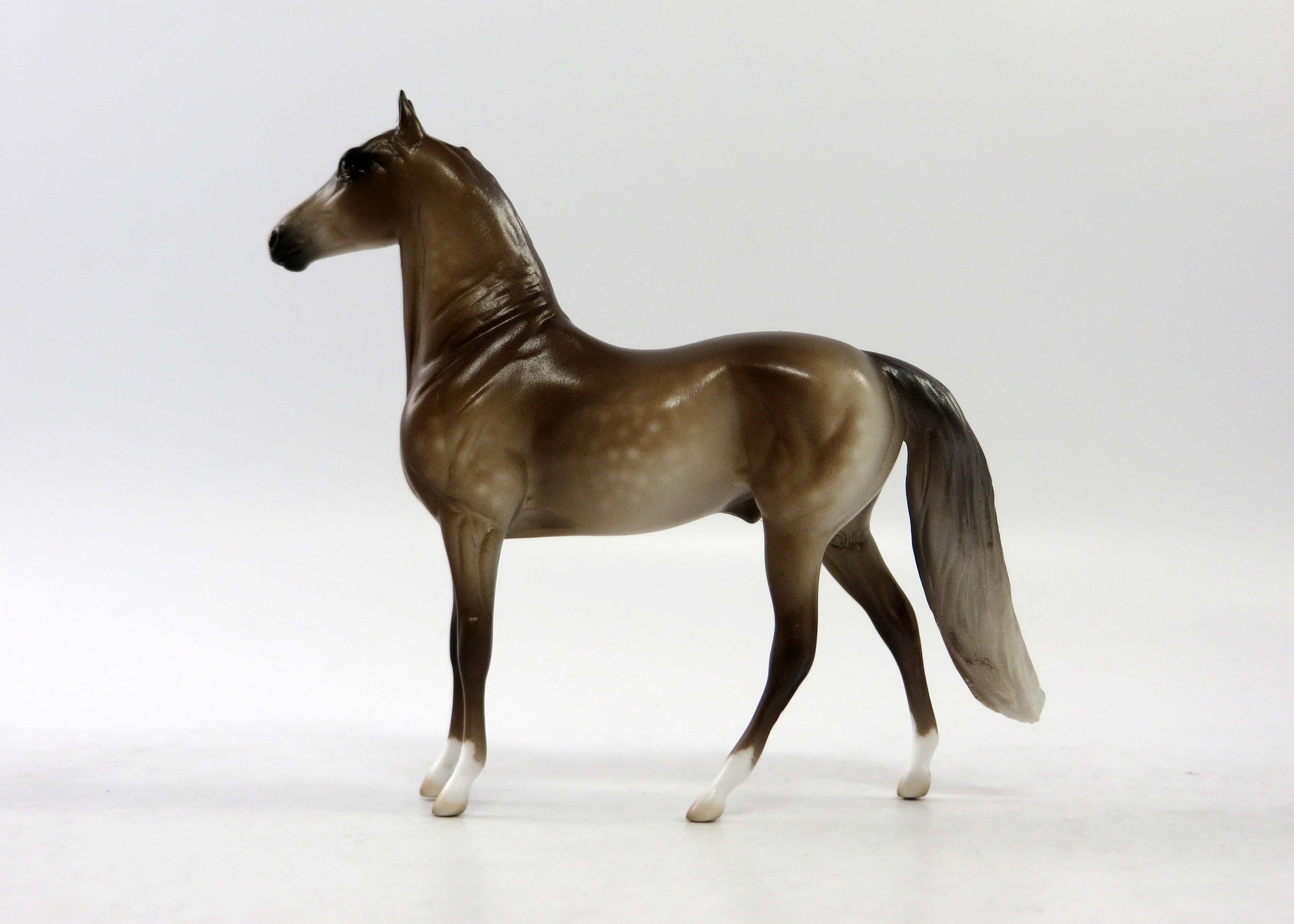 LOGAN-OOAK DAPPLE GRULLA MORGAN CHIP EQ 2018