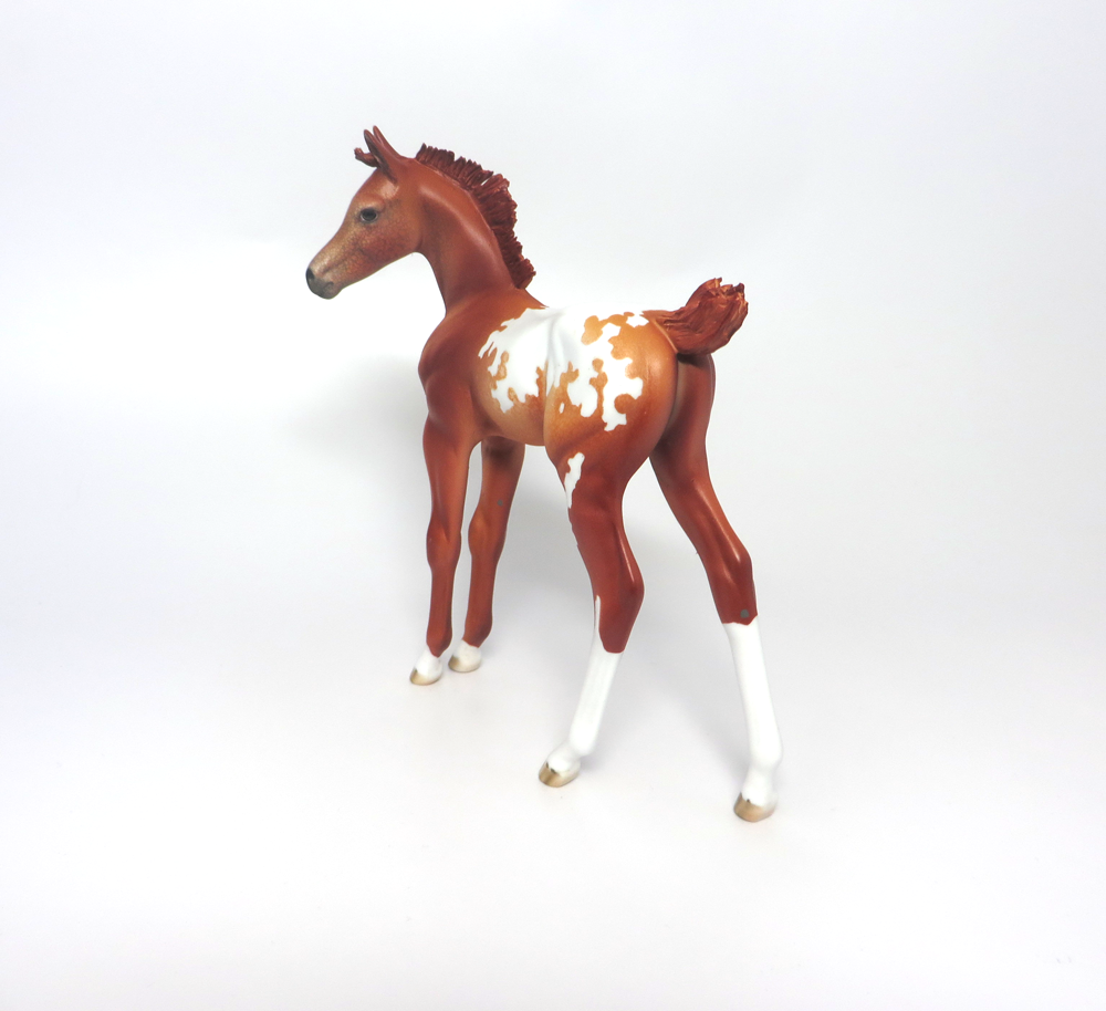 BASIL --- OOAK CHESTNUT  ARABIAN FOAL BY DAWN QUICK EA19