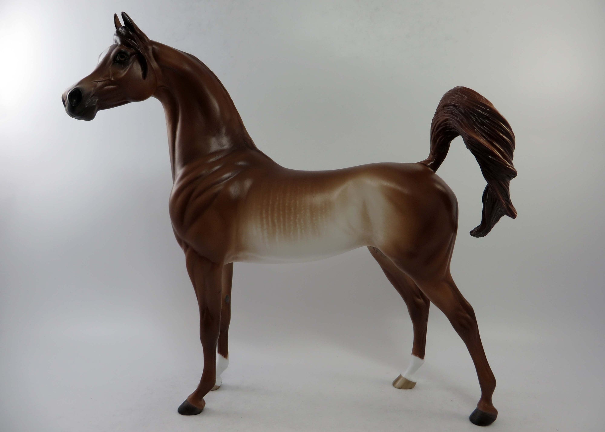 ALEXIS-OOAK CHESTNUT RABICANO ARABIAN BY SHERYL LEISURE EQ 2018