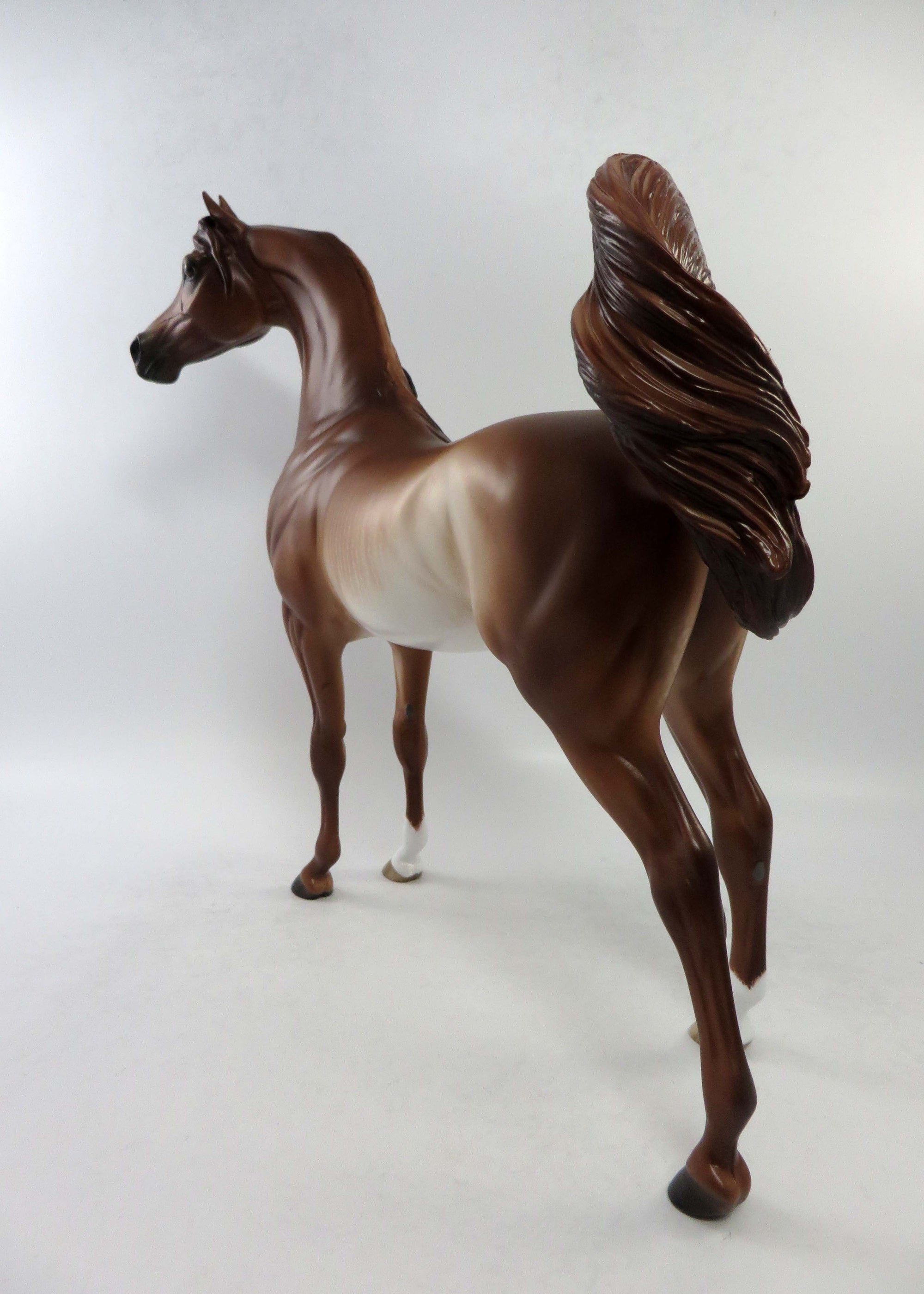 ALEXIS-OOAK CHESTNUT RABICANO ARABIAN BY SHERYL LEISURE EQ 2018