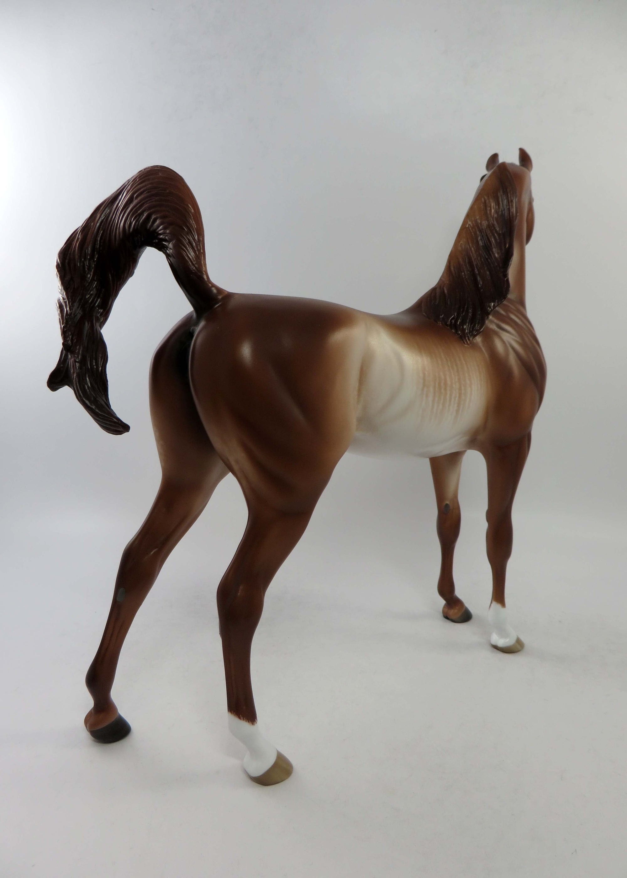 ALEXIS-OOAK CHESTNUT RABICANO ARABIAN BY SHERYL LEISURE EQ 2018