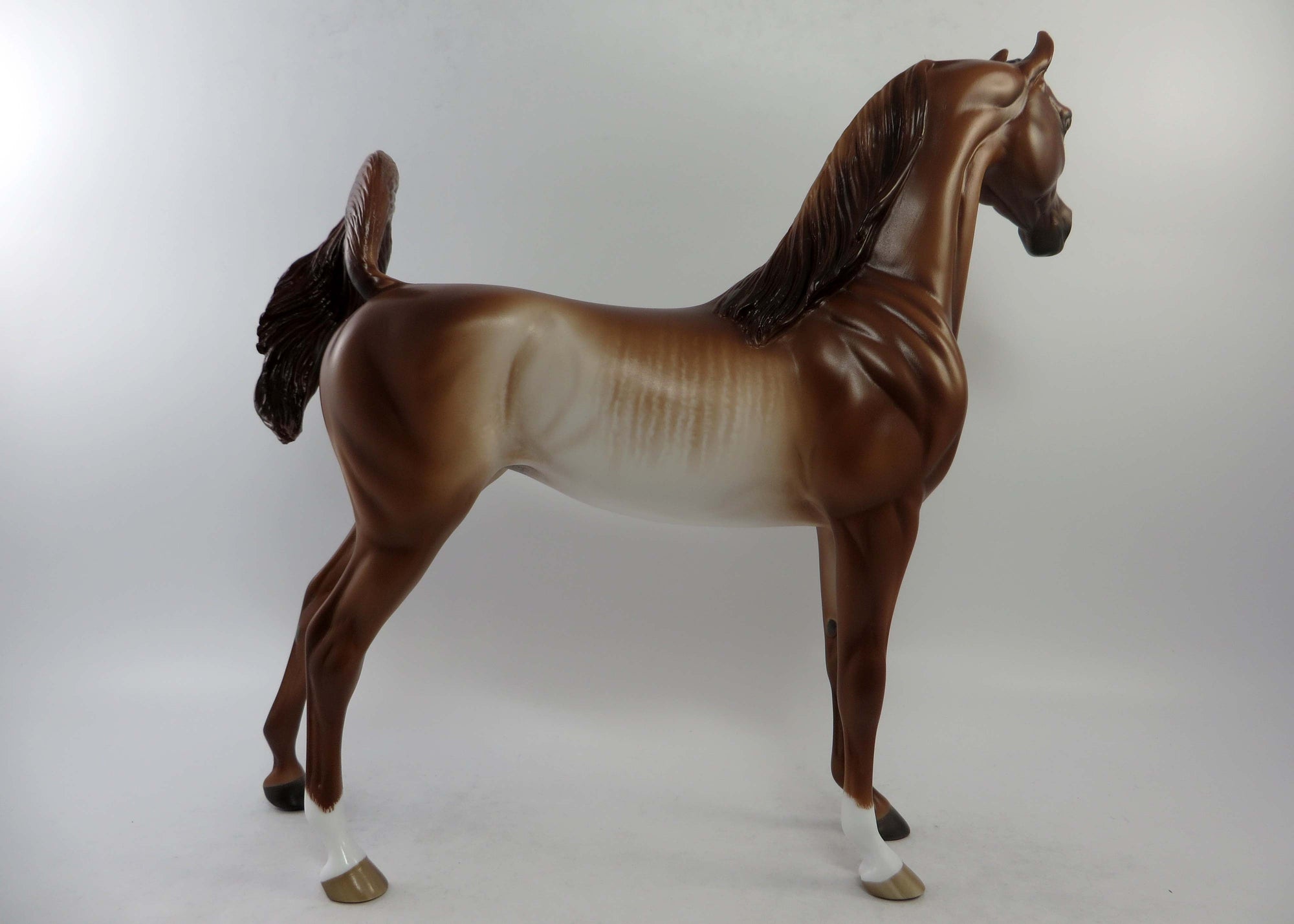 ALEXIS-OOAK CHESTNUT RABICANO ARABIAN BY SHERYL LEISURE EQ 2018