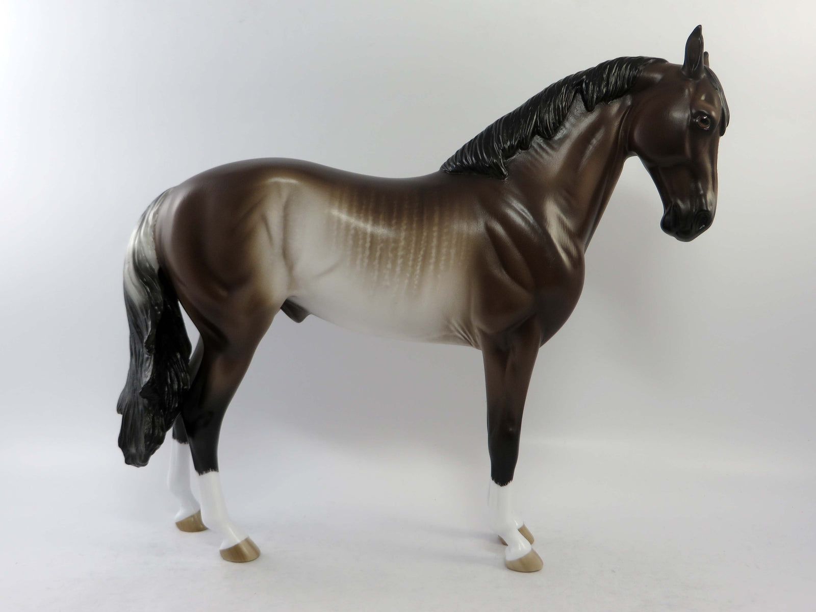 MASON-OOAK BAY RABICANO ANDALUSIAN EQ 2018