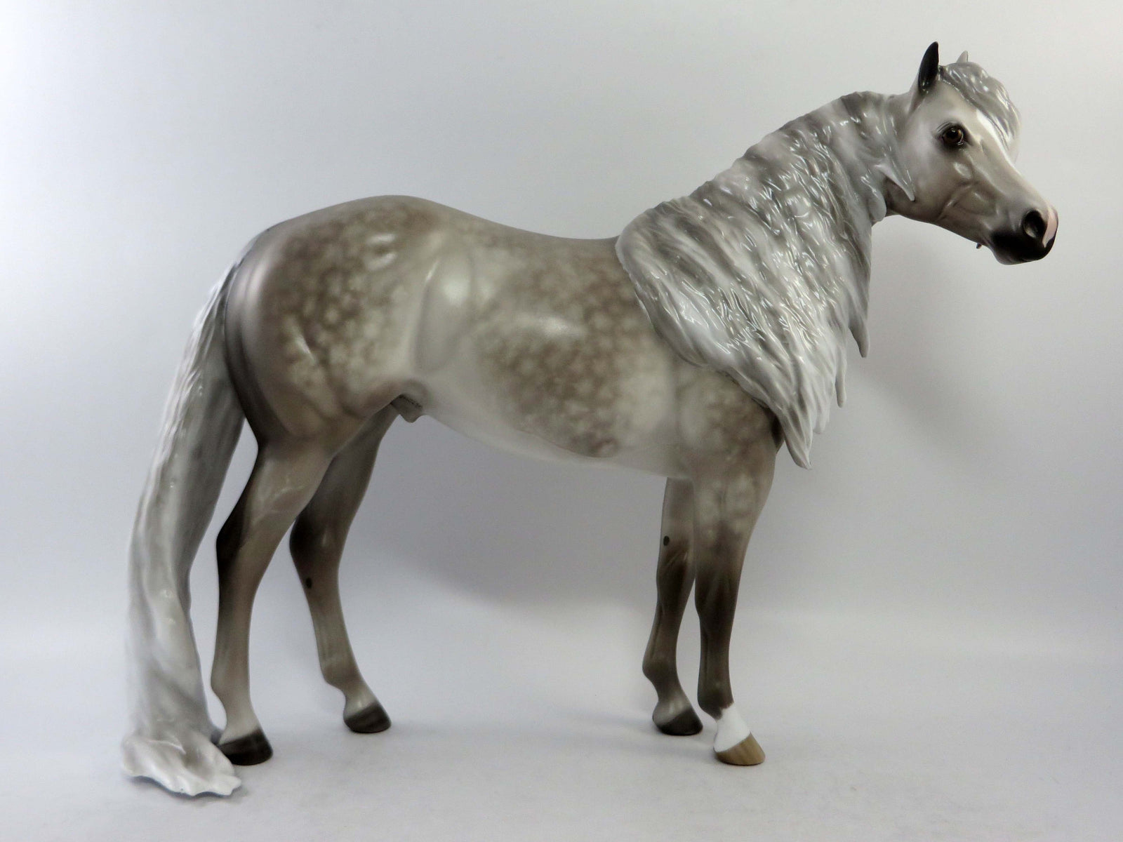 ELLIOT-OOAK STAR DAPPLE GREY PUDDLE TAIL ISH EQ 2018