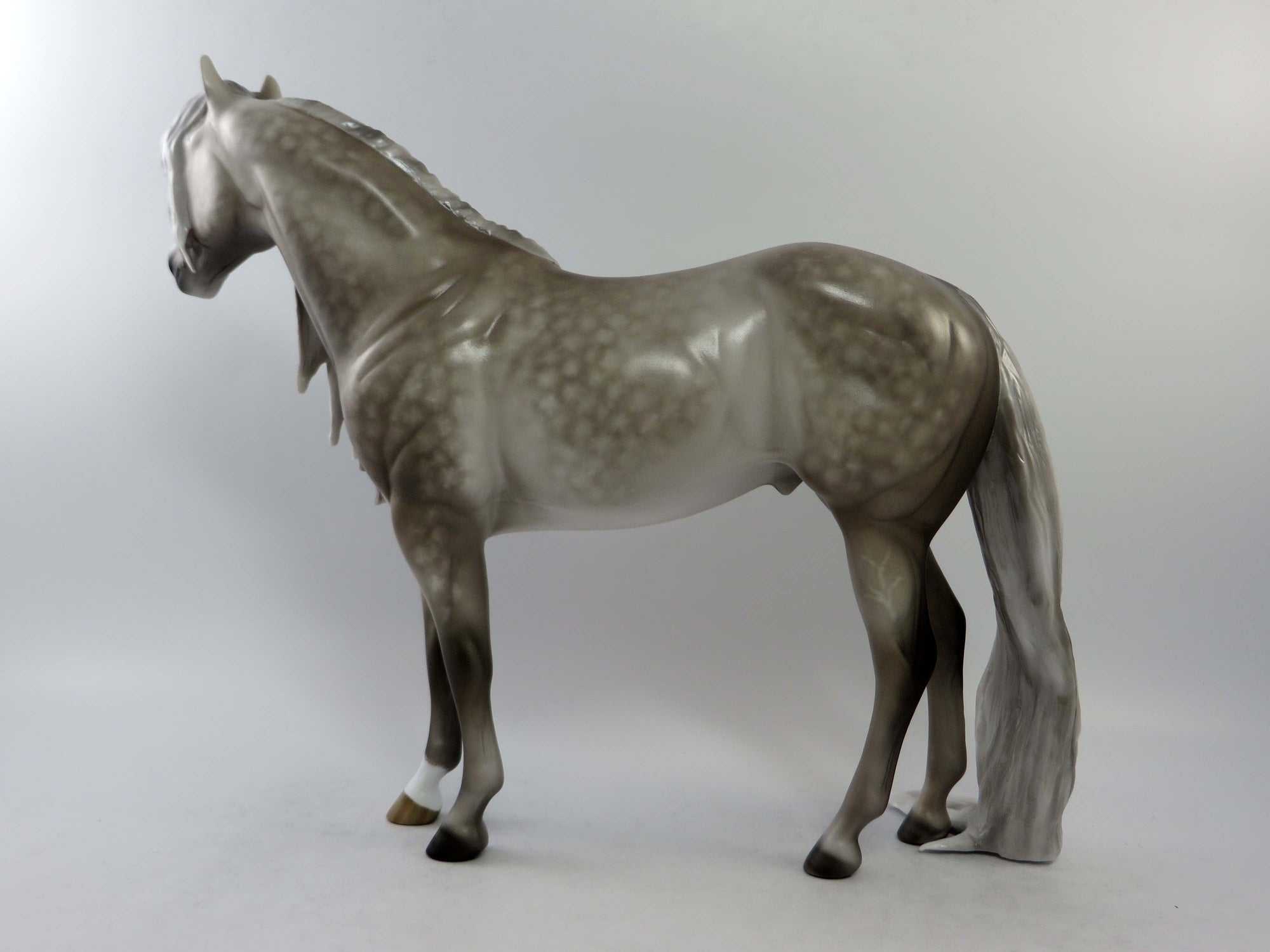 ELLIOT-OOAK STAR DAPPLE GREY PUDDLE TAIL ISH EQ 2018
