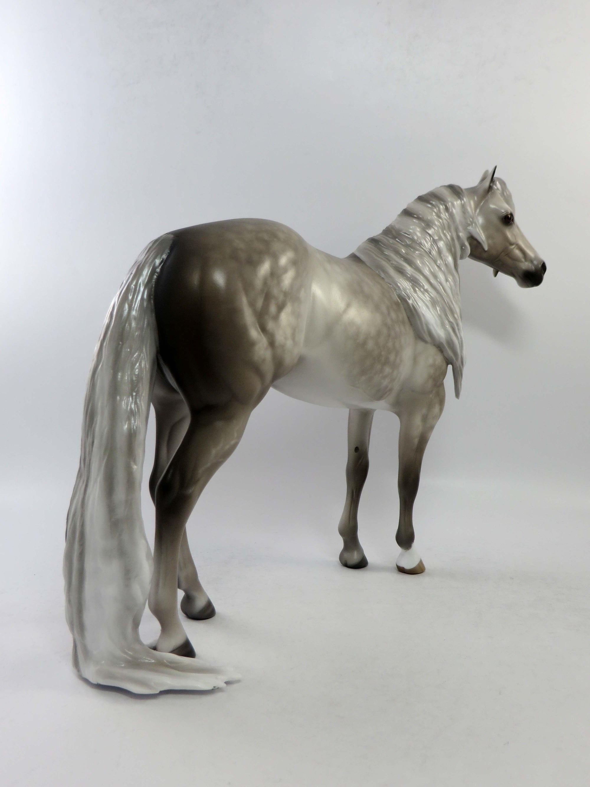 ELLIOT-OOAK STAR DAPPLE GREY PUDDLE TAIL ISH EQ 2018
