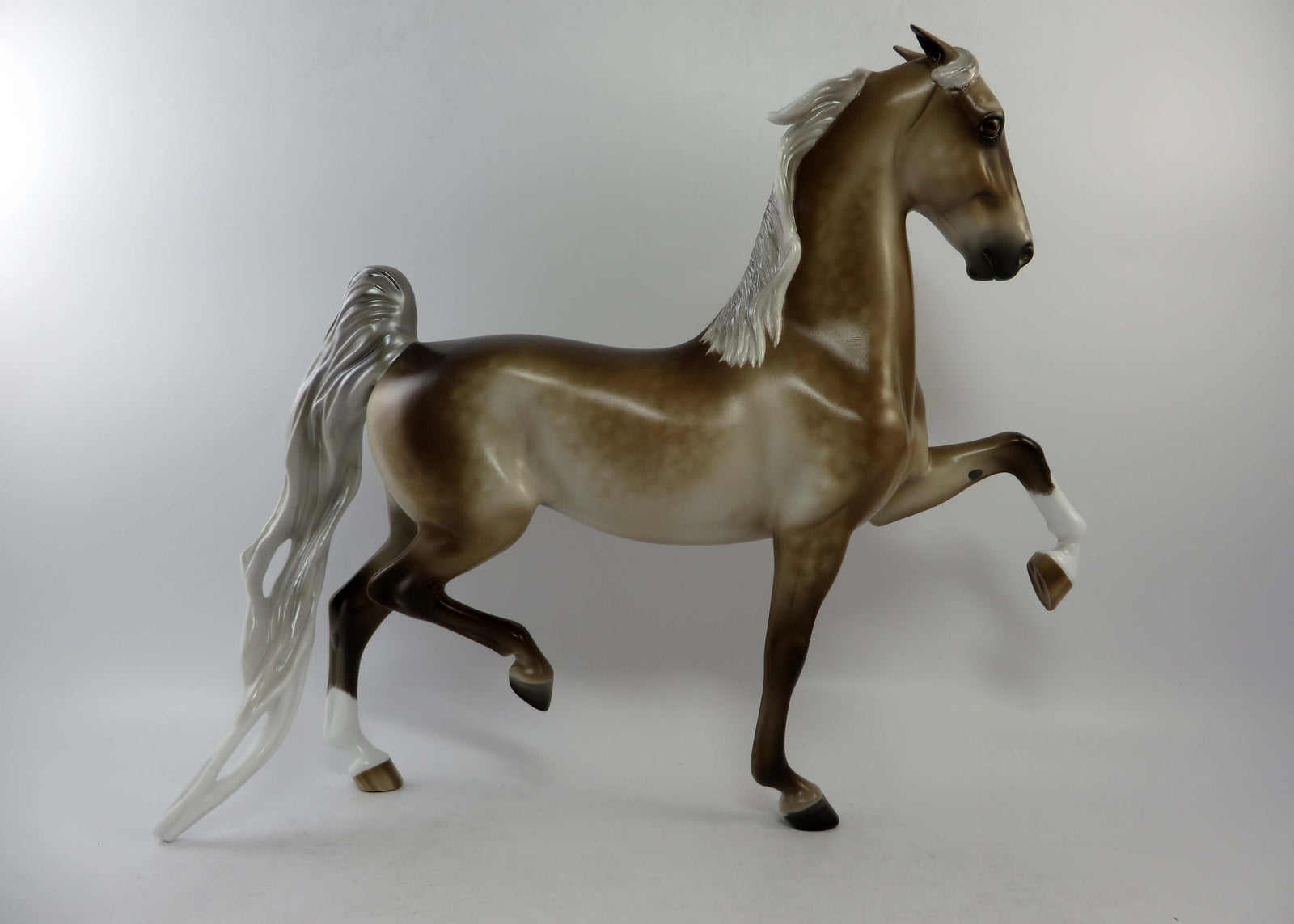 CALEDONIA-OOAK  SILVER DAPPLE SADDLEBRED EQ 2018