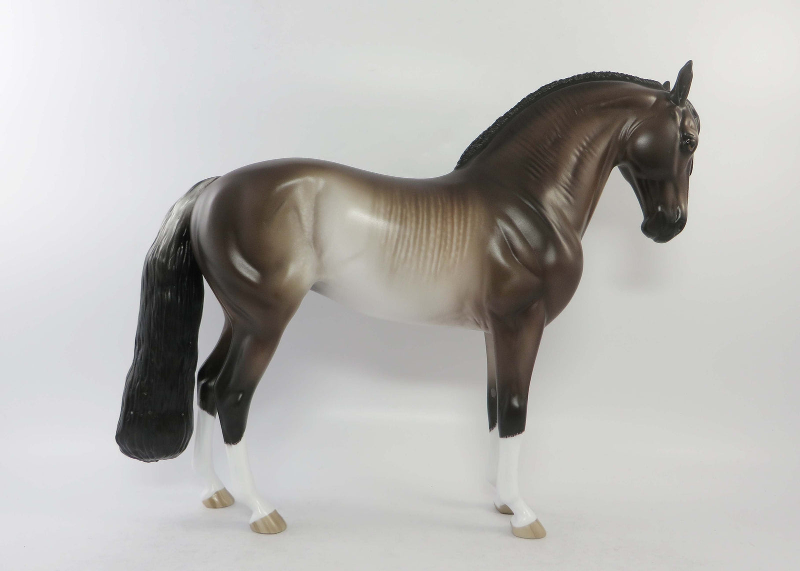 FARINA-OOAK BAY RABICANO ANDALUSIAN MARE EQ 2018