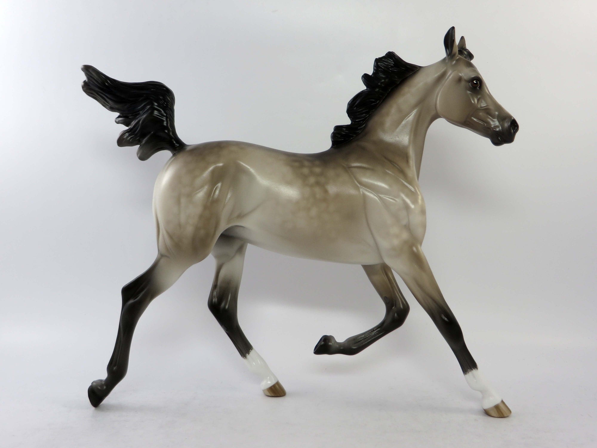 ROCHESTER-LE-4 DAPPLE BAY PINTO TROTTING DRAFTER EQ 2018 SHERYL LEISURE