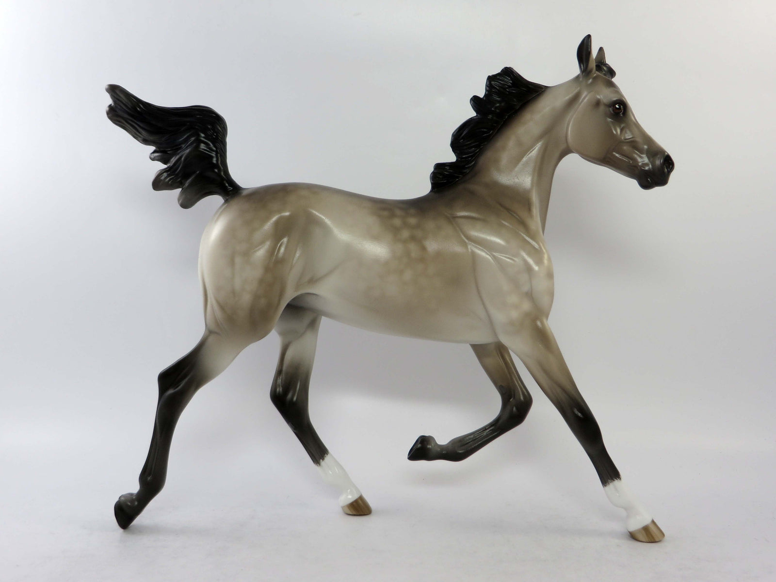 ROCHESTER-LE-4 DAPPLE BAY PINTO TROTTING DRAFTER EQ 2018 SHERYL LEISURE