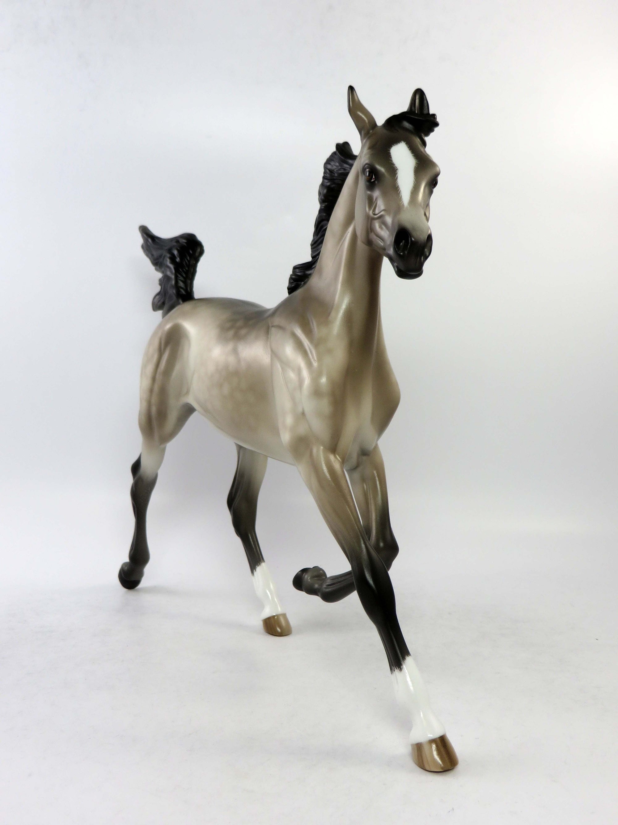 ROCHESTER-LE-4 DAPPLE BAY PINTO TROTTING DRAFTER EQ 2018 SHERYL LEISURE