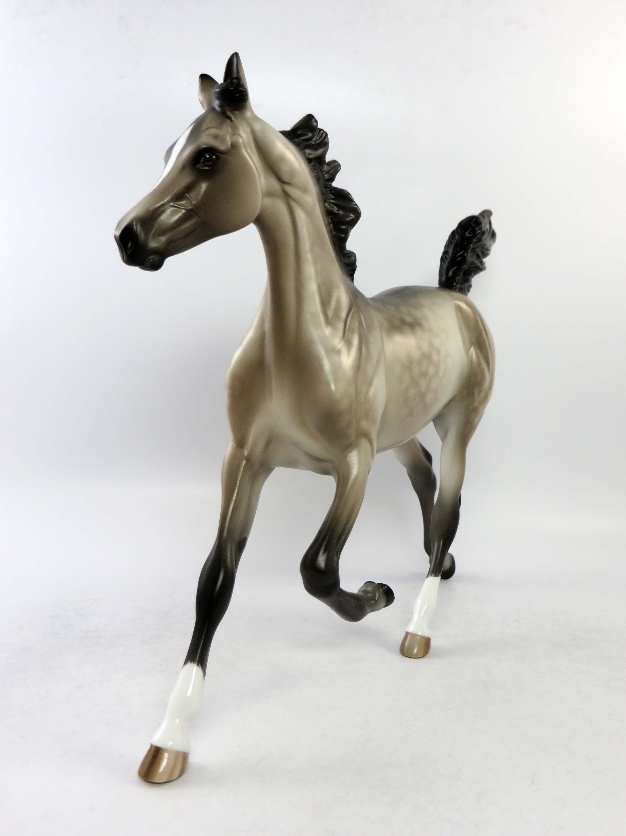 BONNIE-OOAK SOOTY DAPPLE BUCKSKIN YEARLING EQ 2018