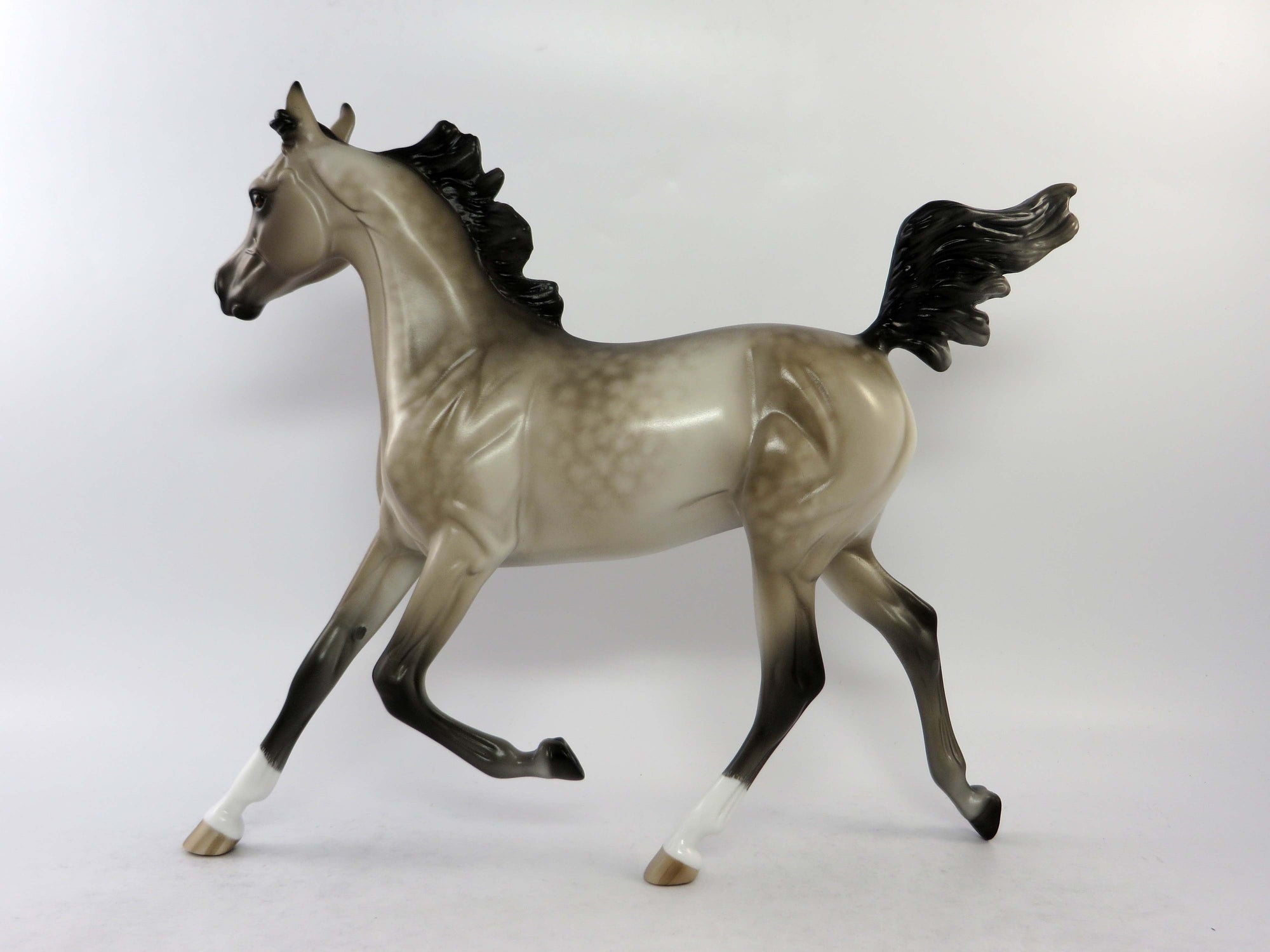 BONNIE-OOAK SOOTY DAPPLE BUCKSKIN YEARLING EQ 2018