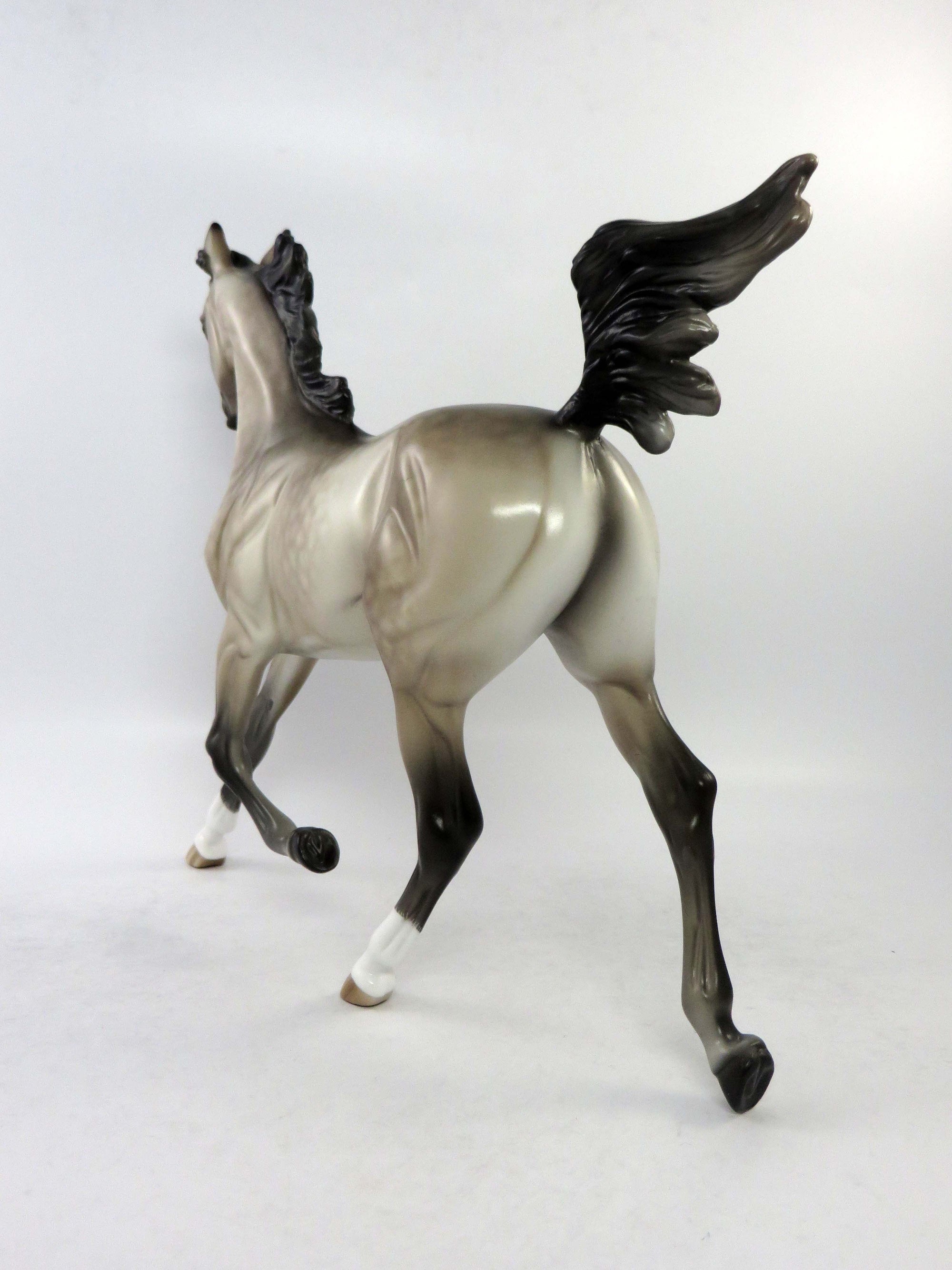 ROCHESTER-LE-4 DAPPLE BAY PINTO TROTTING DRAFTER EQ 2018 SHERYL LEISURE