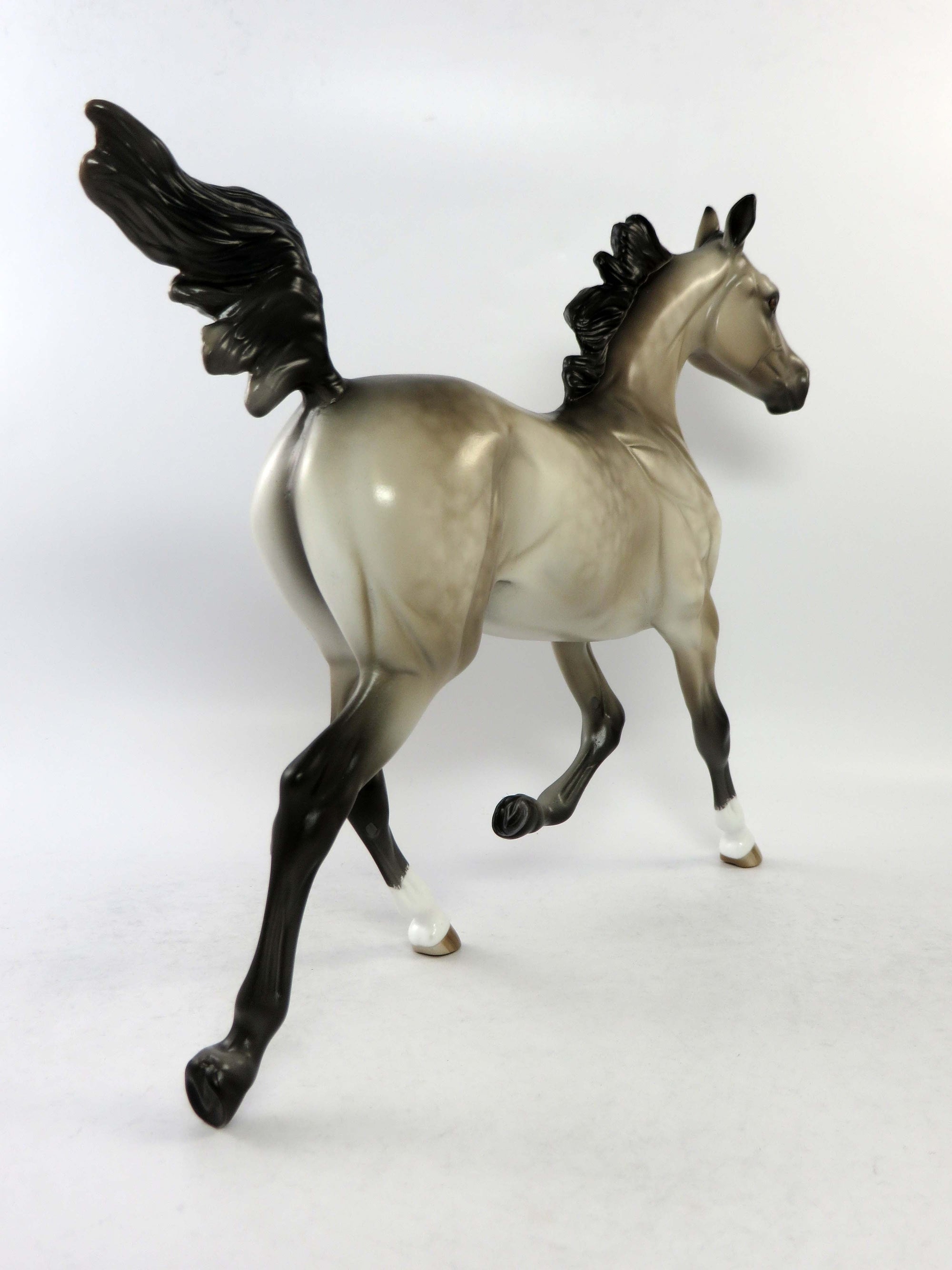 BONNIE-OOAK SOOTY DAPPLE BUCKSKIN YEARLING EQ 2018