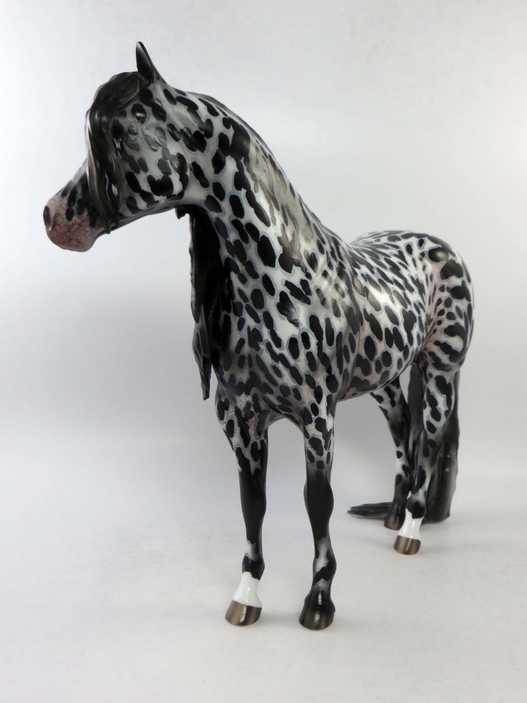 MATEO-OOAK BLACK LEOPARD APPALOOSA  ISH MODEL HORSE BY AUDREY DIXON EQ 2018