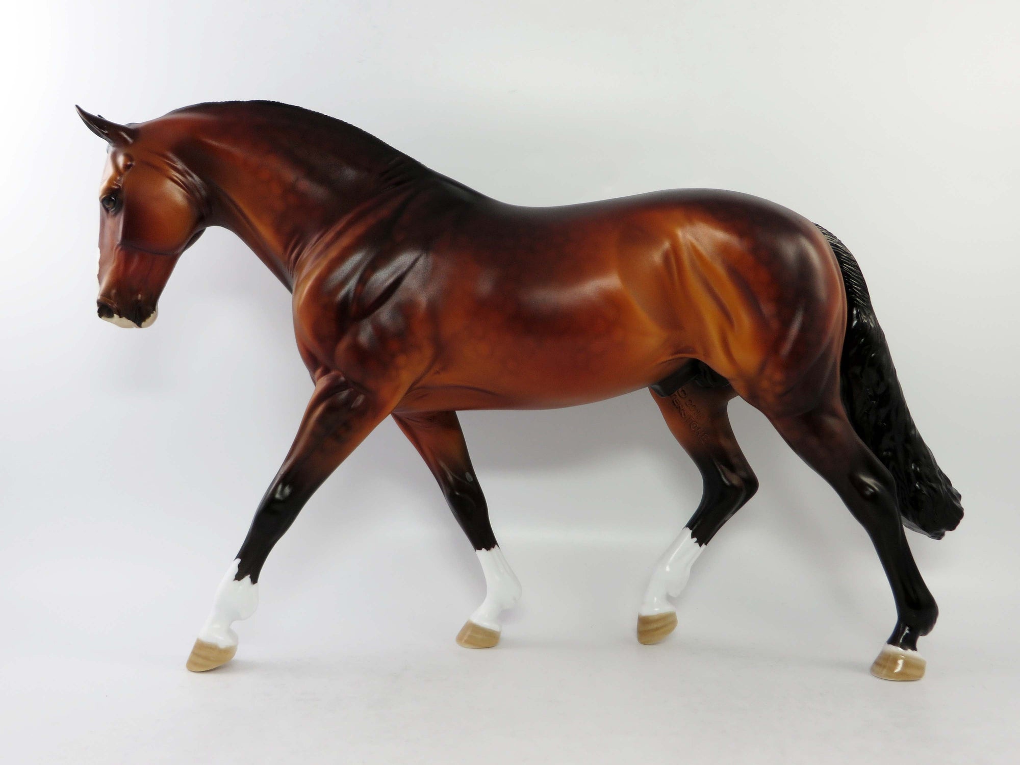 ST.JOHN-OOAK DAPPLE GOLDEN BAY IRISH DRAUGHT EQ 2018