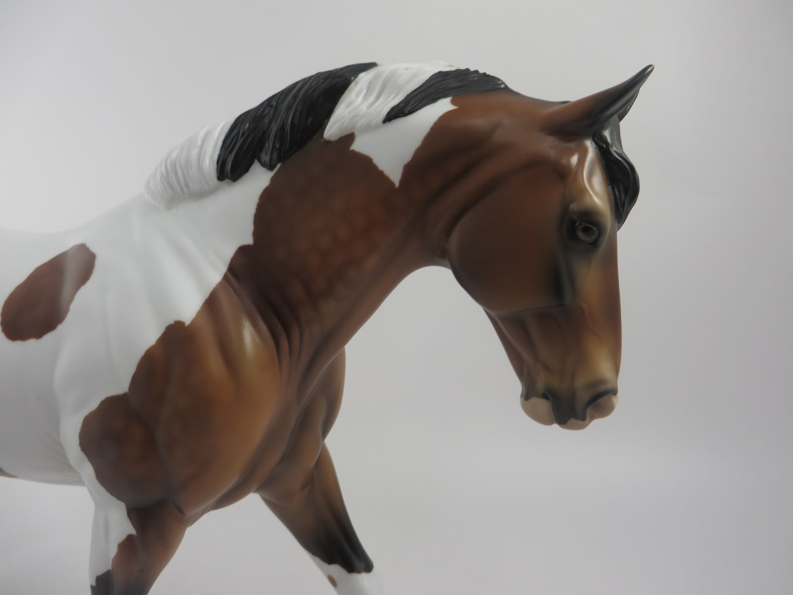 IRON MAN-OOAK DAPPLE BAY PINTO IRISH DRAFT MODEL HORSE BY AUDREY DIXON 6/9/20