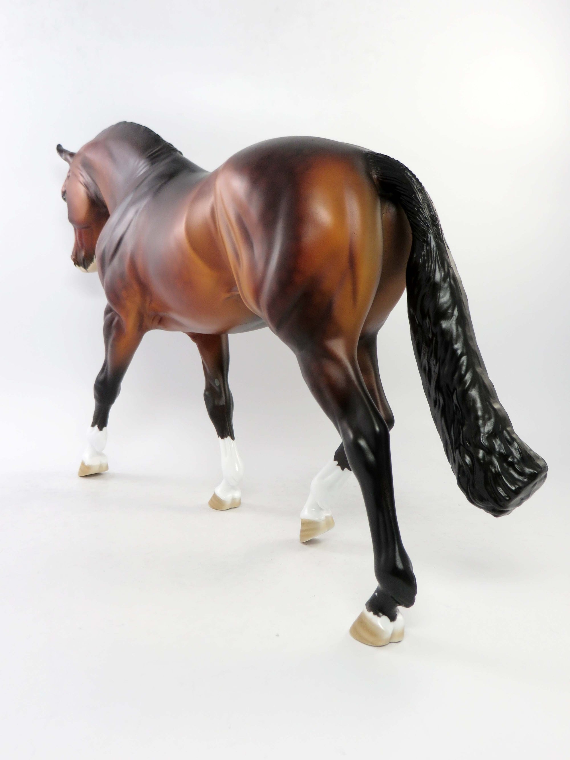 ST.JOHN-OOAK DAPPLE GOLDEN BAY IRISH DRAUGHT EQ 2018