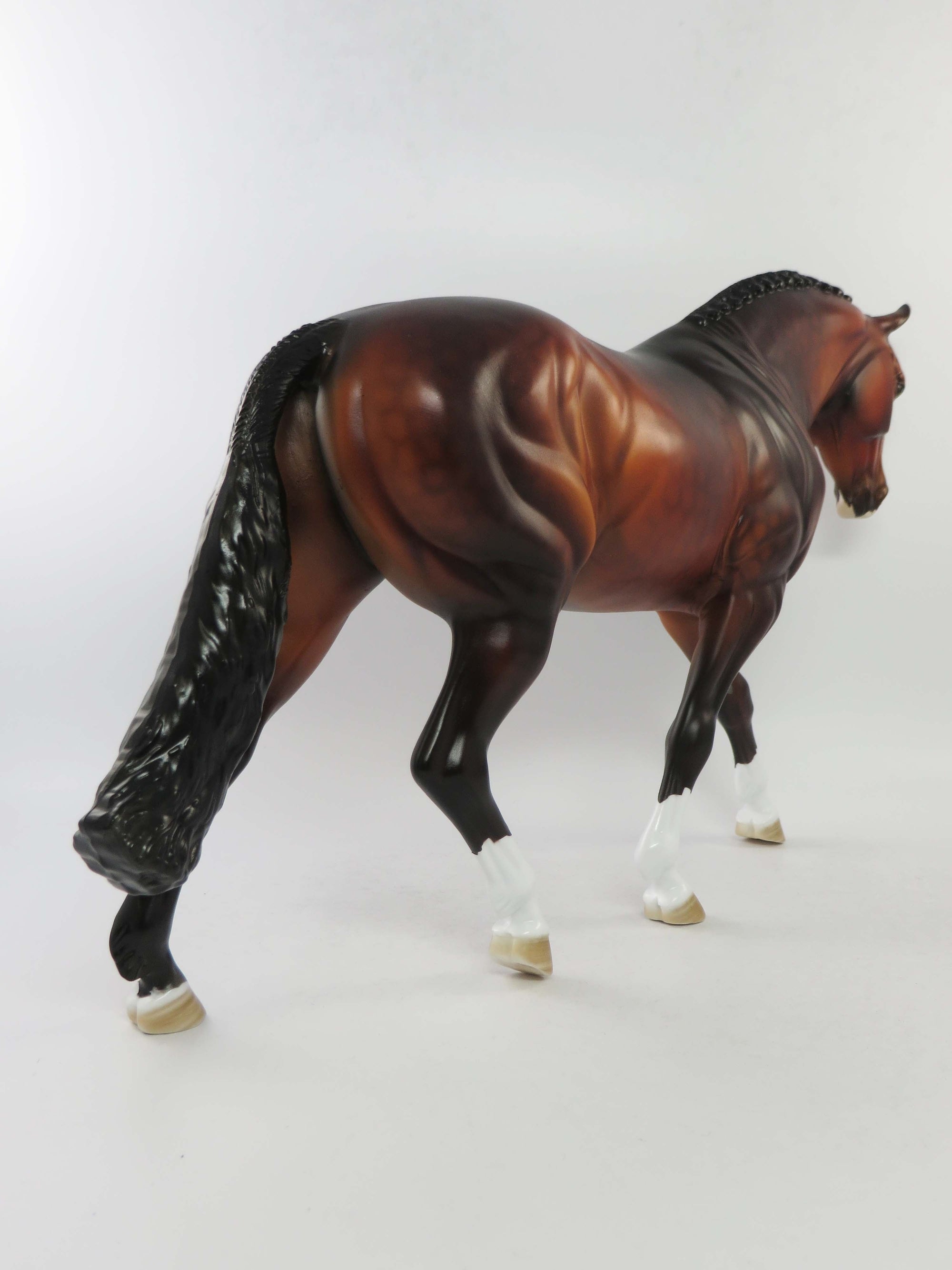 ST.JOHN-OOAK DAPPLE GOLDEN BAY IRISH DRAUGHT EQ 2018