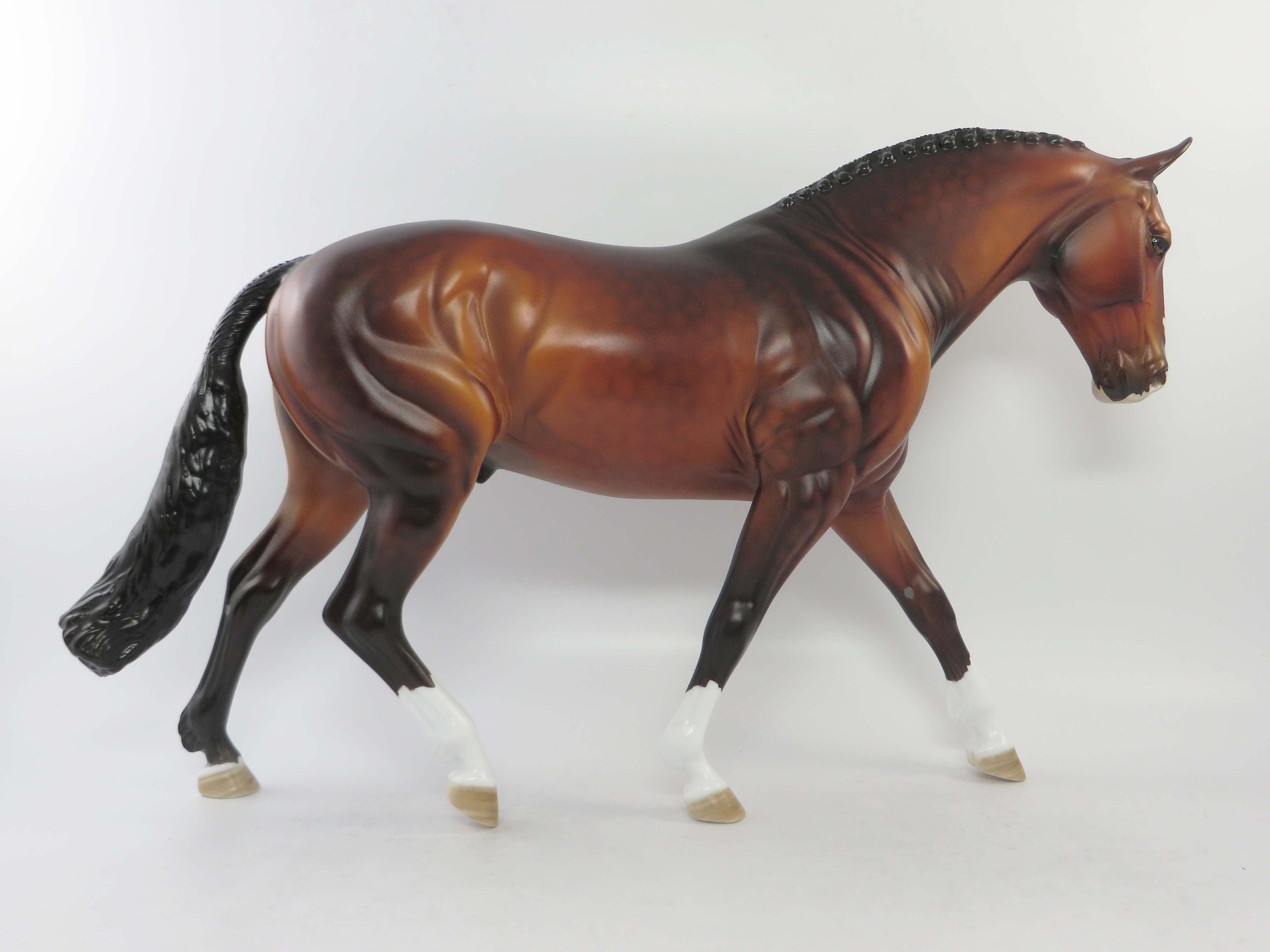 ST.JOHN-OOAK DAPPLE GOLDEN BAY IRISH DRAUGHT EQ 2018