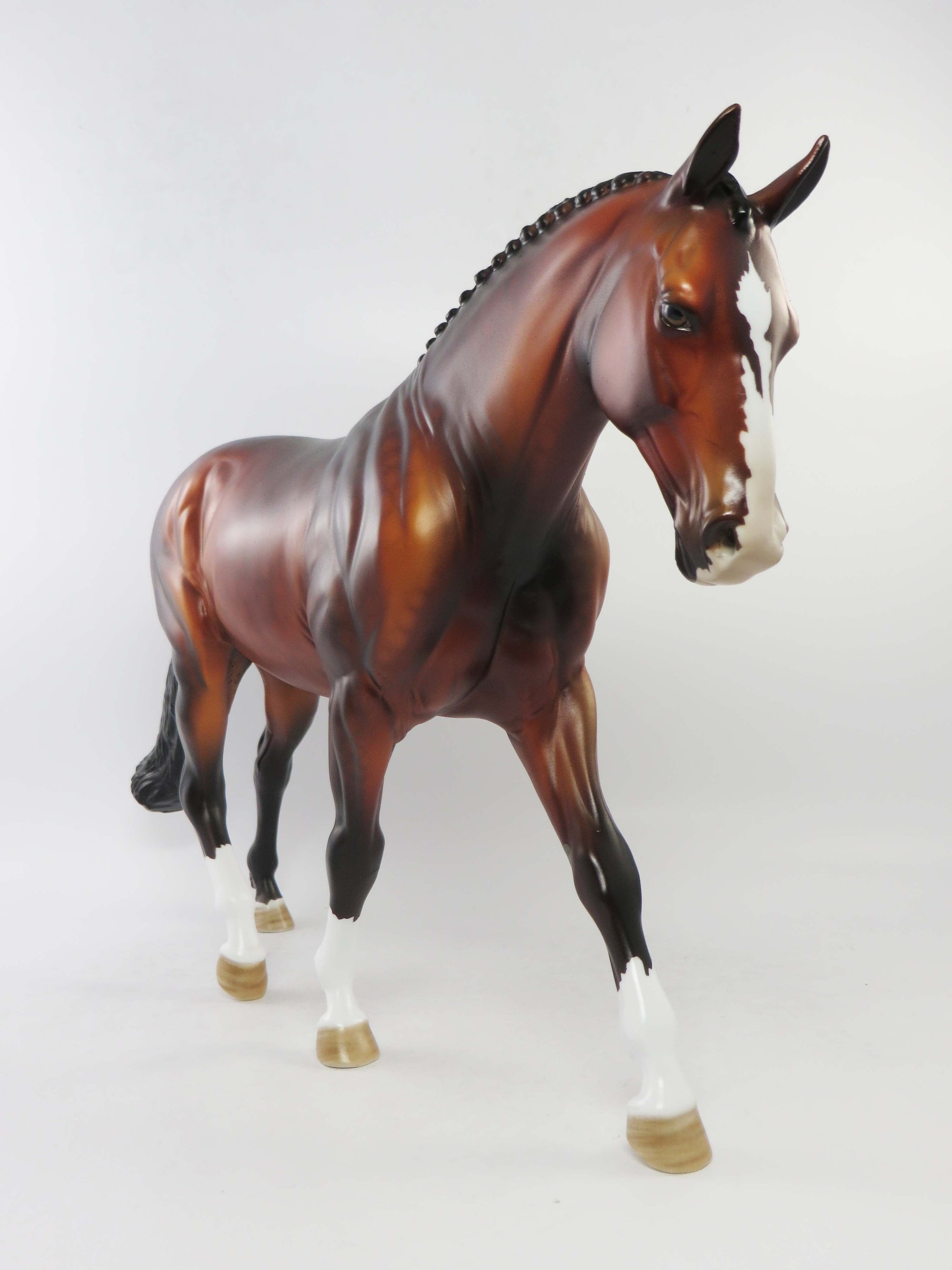 ST.JOHN-OOAK DAPPLE GOLDEN BAY IRISH DRAUGHT EQ 2018