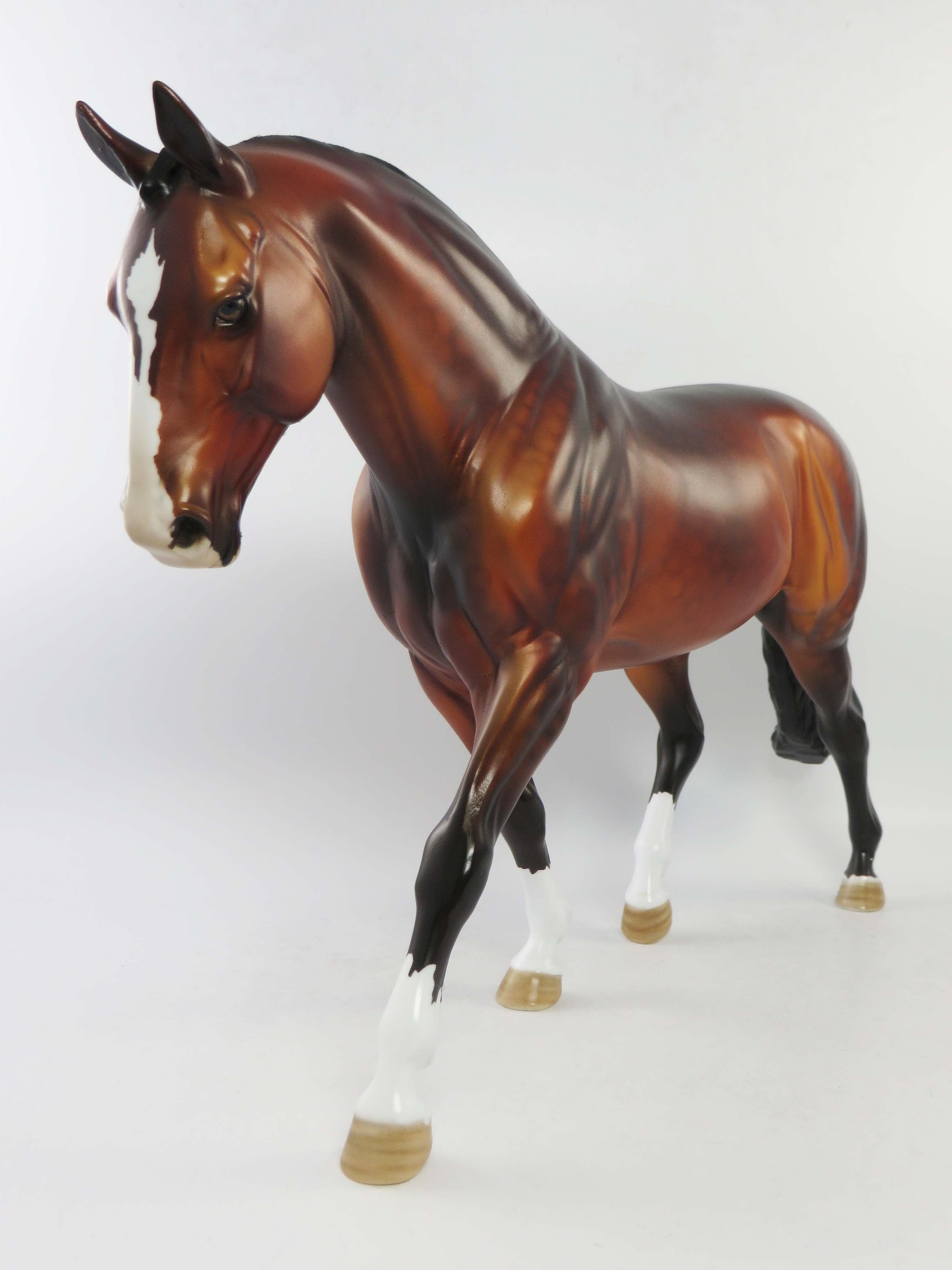 ST.JOHN-OOAK DAPPLE GOLDEN BAY IRISH DRAUGHT EQ 2018