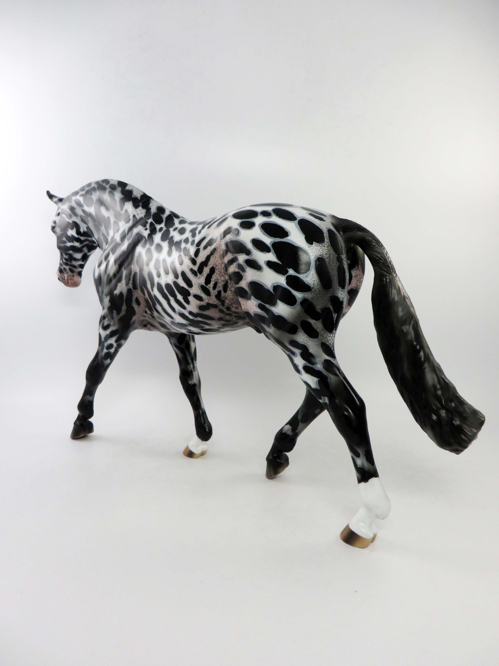 ROCHESTER-LE-4 DAPPLE BAY PINTO TROTTING DRAFTER EQ 2018 SHERYL LEISURE