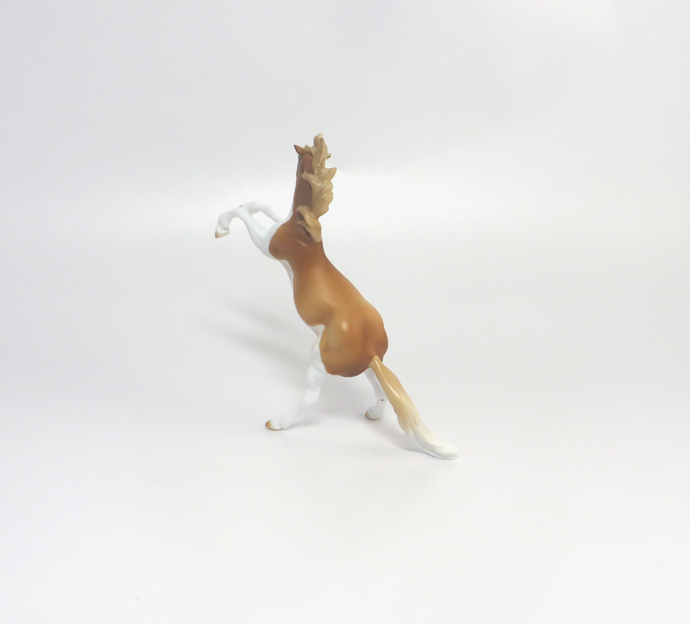 Palomino Splash Peter Stone