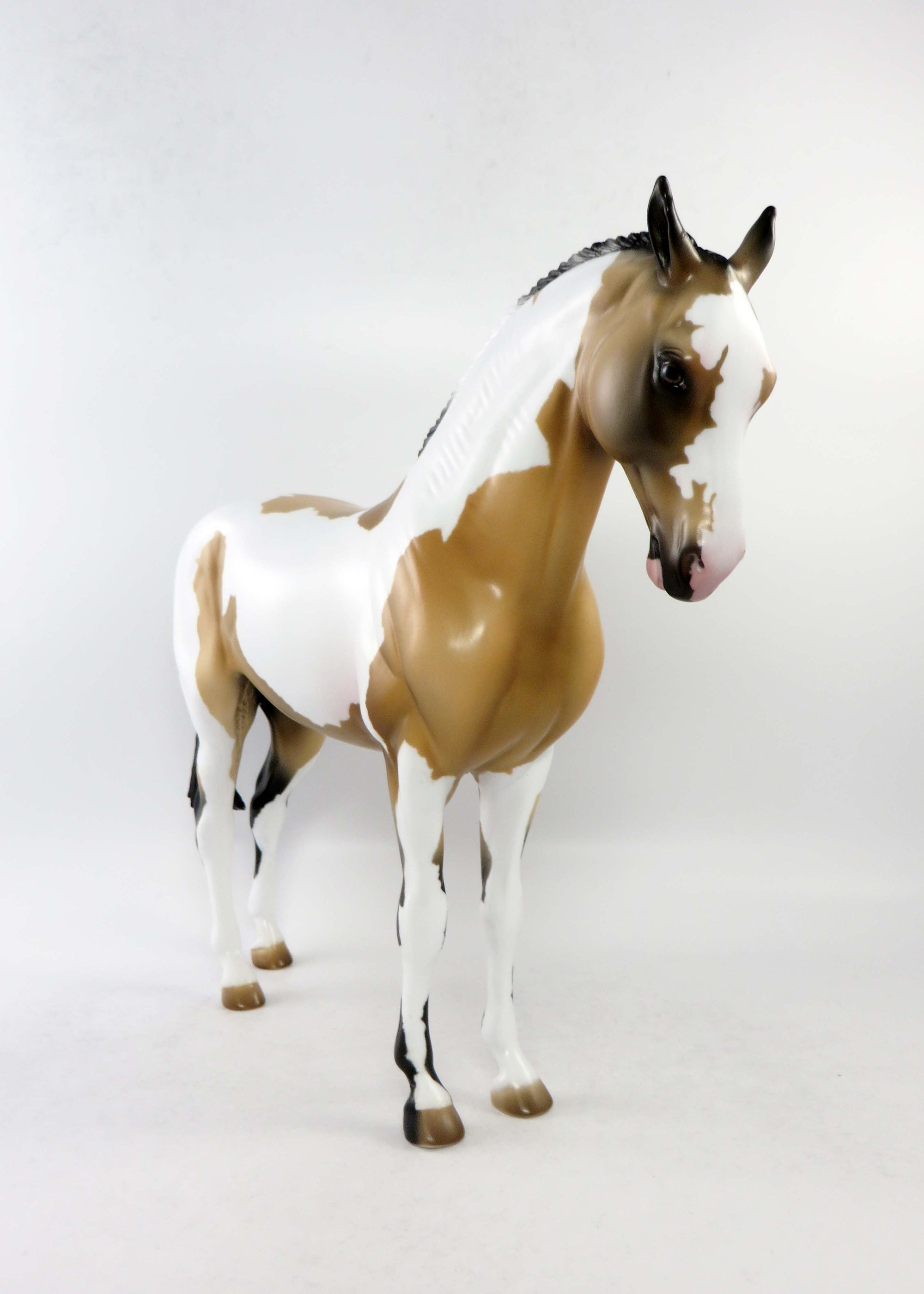 LADY LIBERTY-OOAK BUCKSKIN PINTO ANDALUSIAN MARE EQ 2018