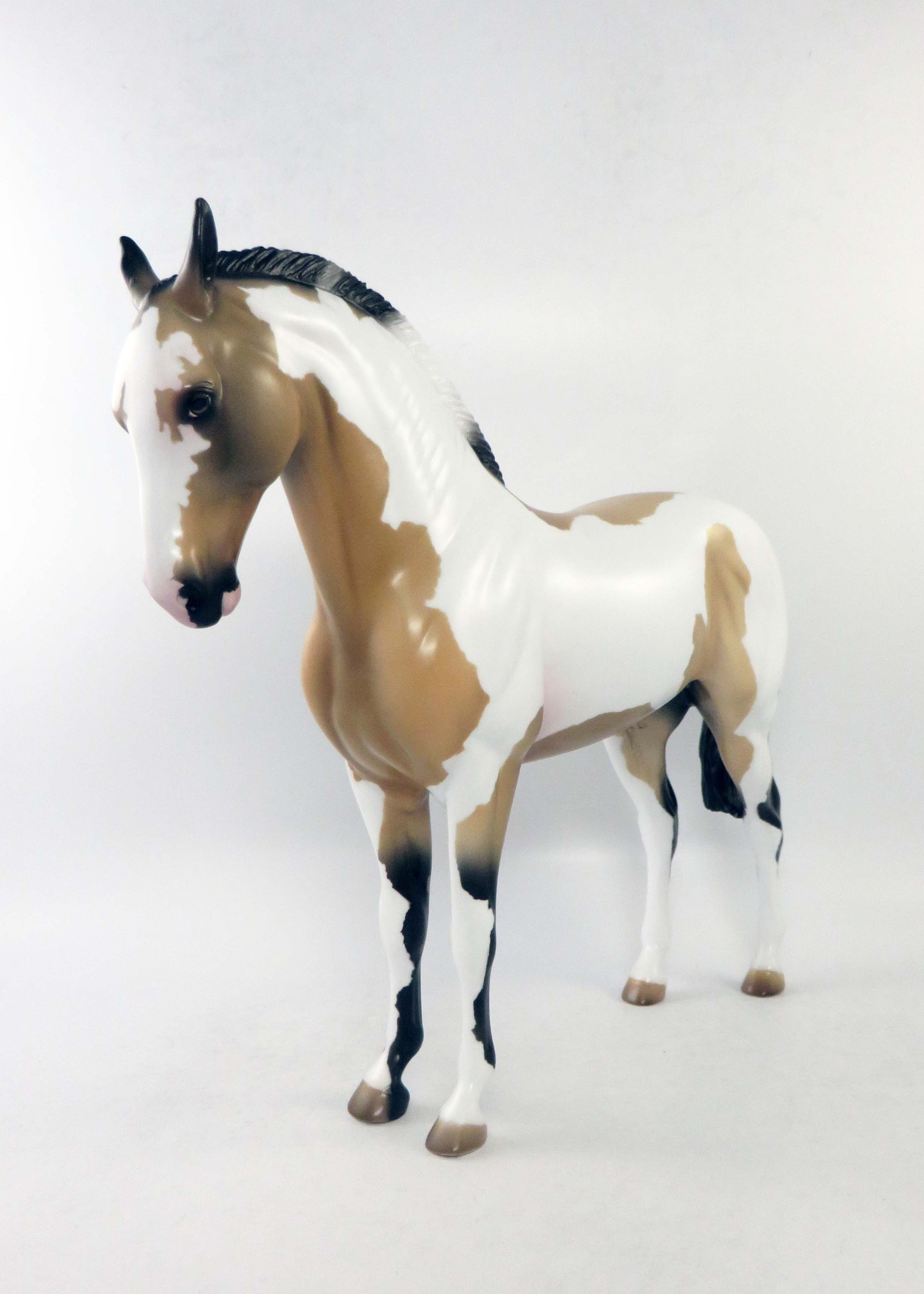 LADY LIBERTY-OOAK BUCKSKIN PINTO ANDALUSIAN MARE EQ 2018