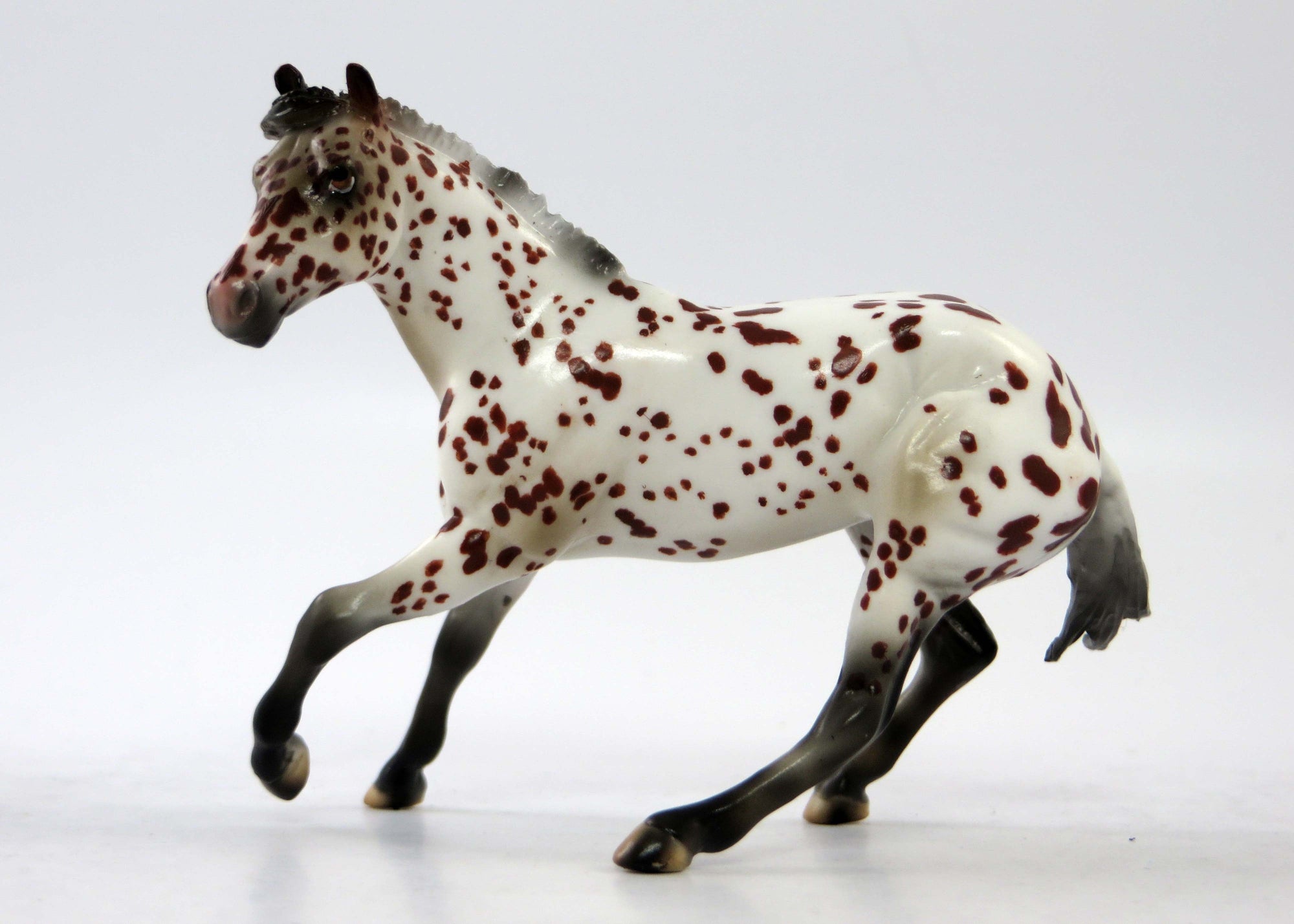 SEEKERS LEDGAND-LE-30 MINI ME CHESTNUT APPALOOSA CUTTER CHIP BY JAS EQ 2018