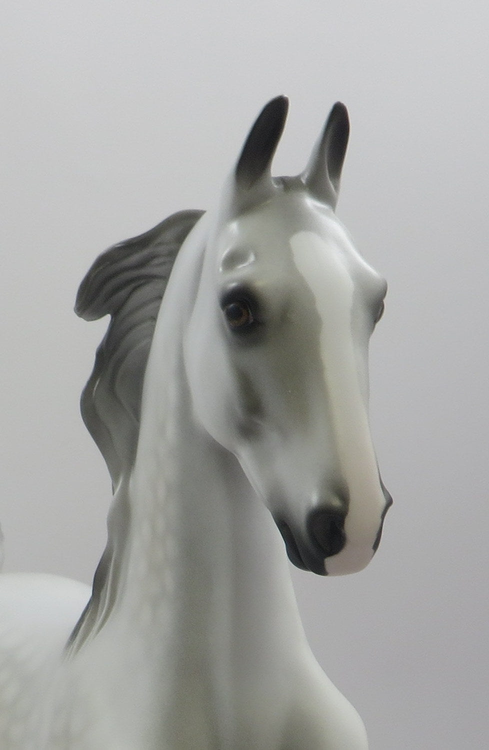 IMPERIAL - OOAK DAPPLED GREY  SADDLEBRED BY AUDREY DIXON EQ19