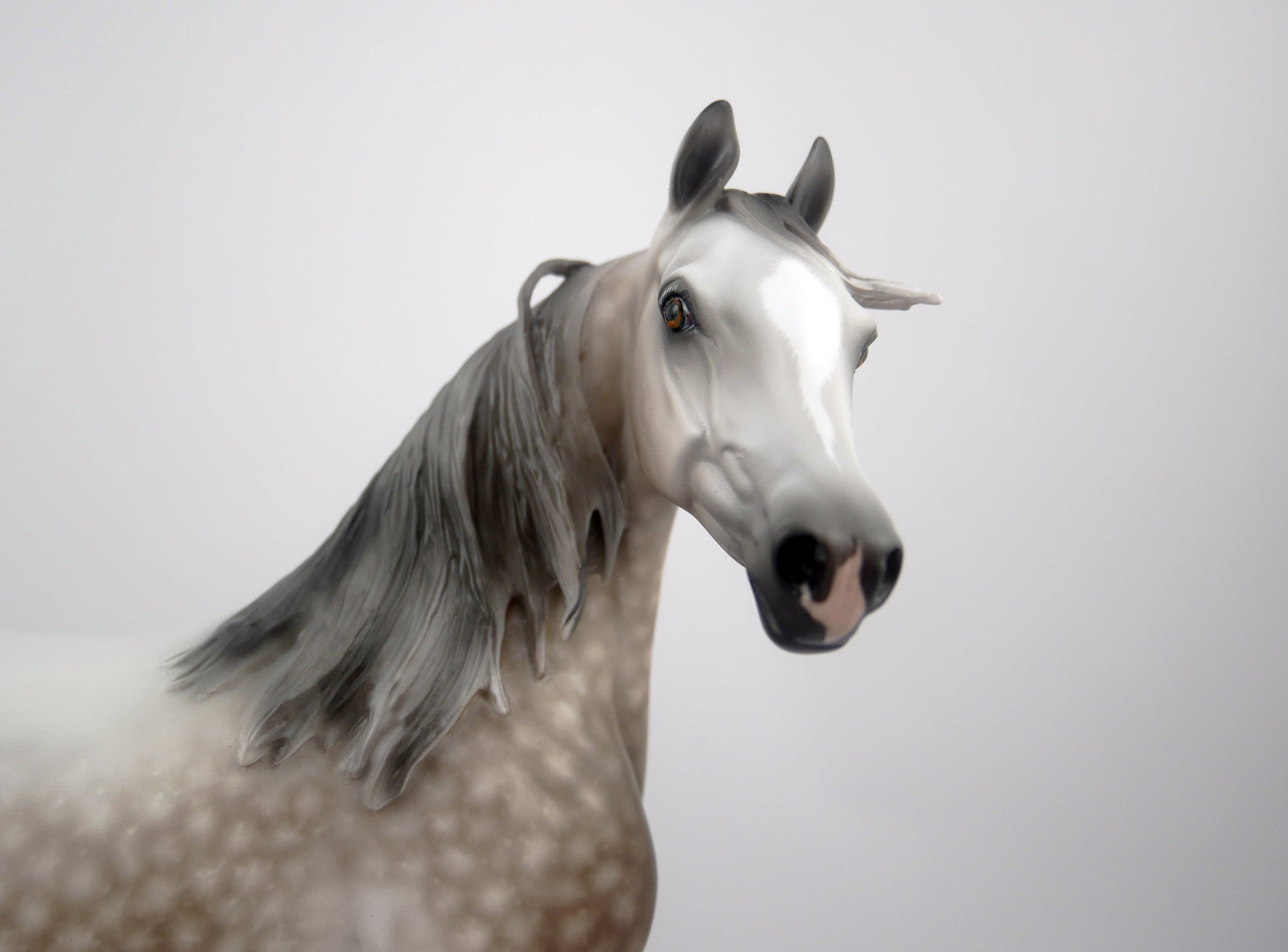 Impression-OOAK Dapple Bay Arabian By Sheryl Leisure