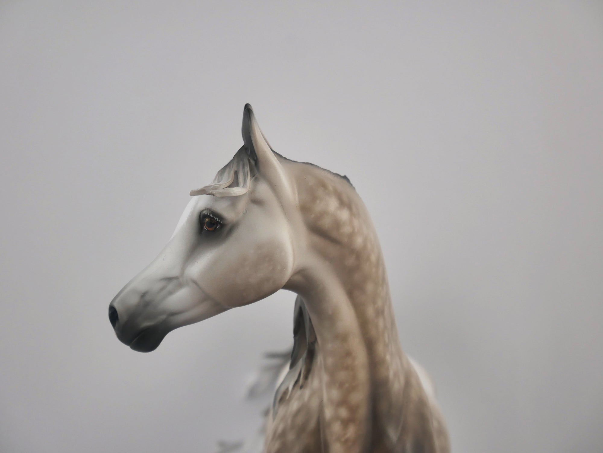 Impression-OOAK Dapple Bay Arabian By Sheryl Leisure