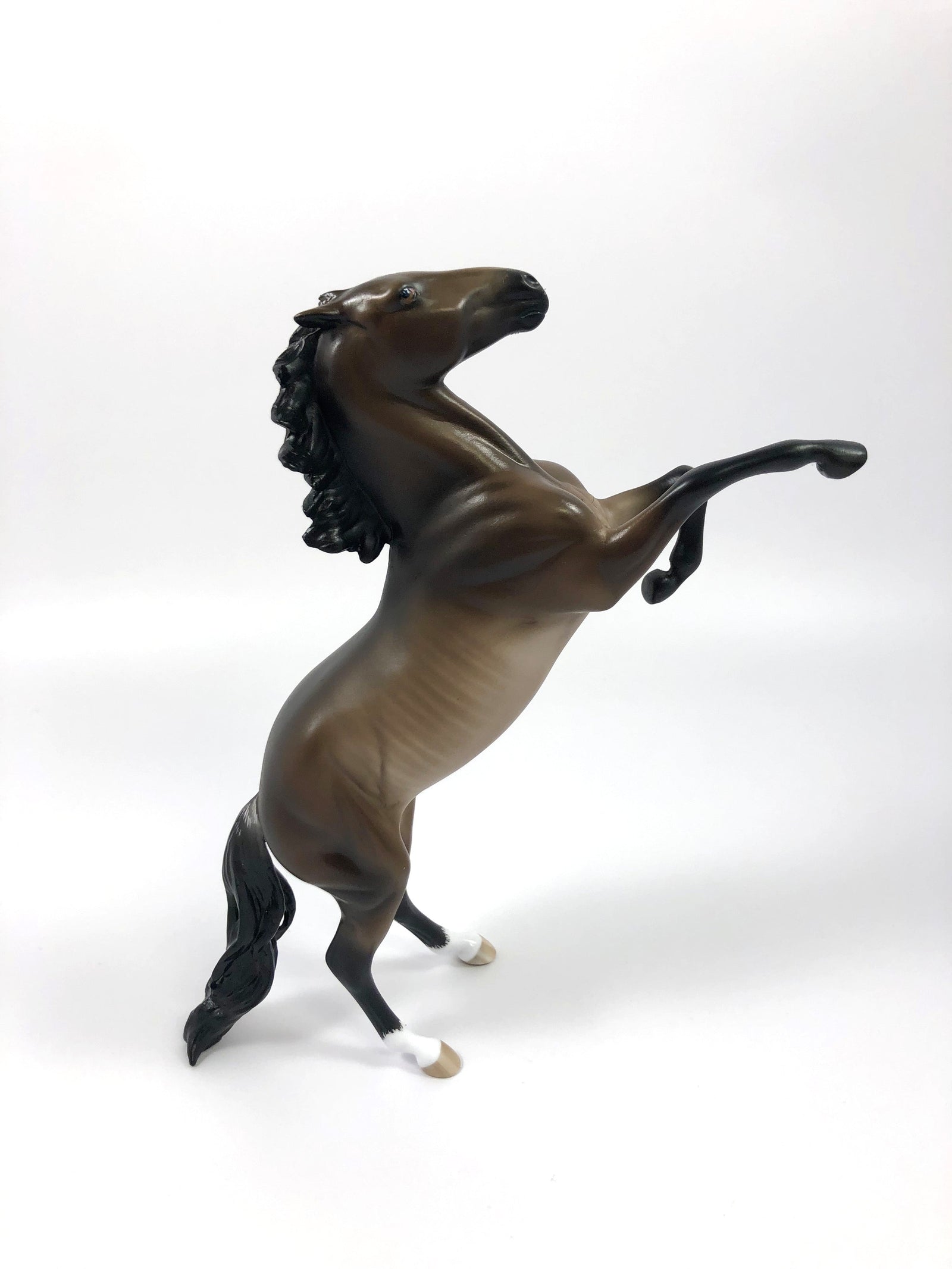 INDULGE ME -- OOAK DARK BAY RABICANO REARING PEBBLES BY SHERYL LEISURE 4/25/19