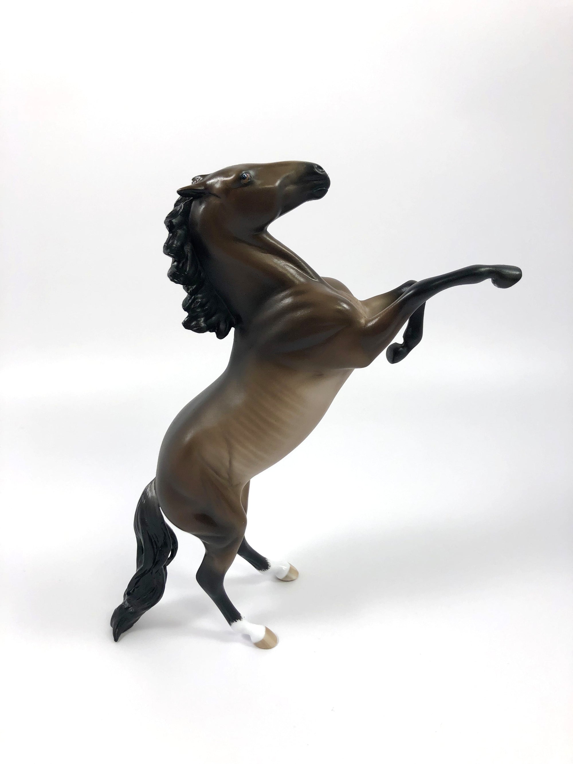 INDULGE ME -- OOAK DARK BAY RABICANO REARING PEBBLES BY SHERYL LEISURE 4/25/19