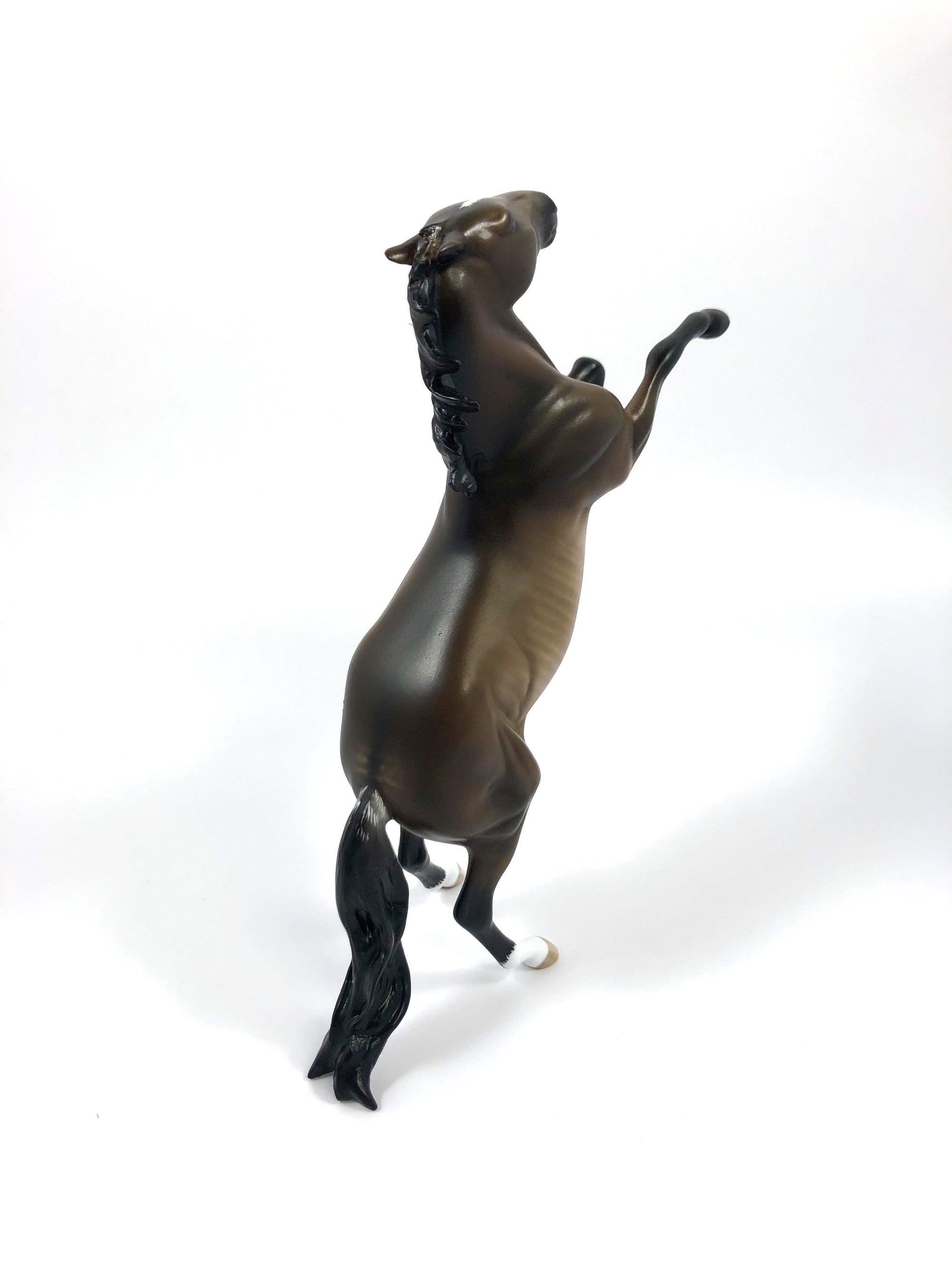 INDULGE ME -- OOAK DARK BAY RABICANO REARING PEBBLES BY SHERYL LEISURE 4/25/19