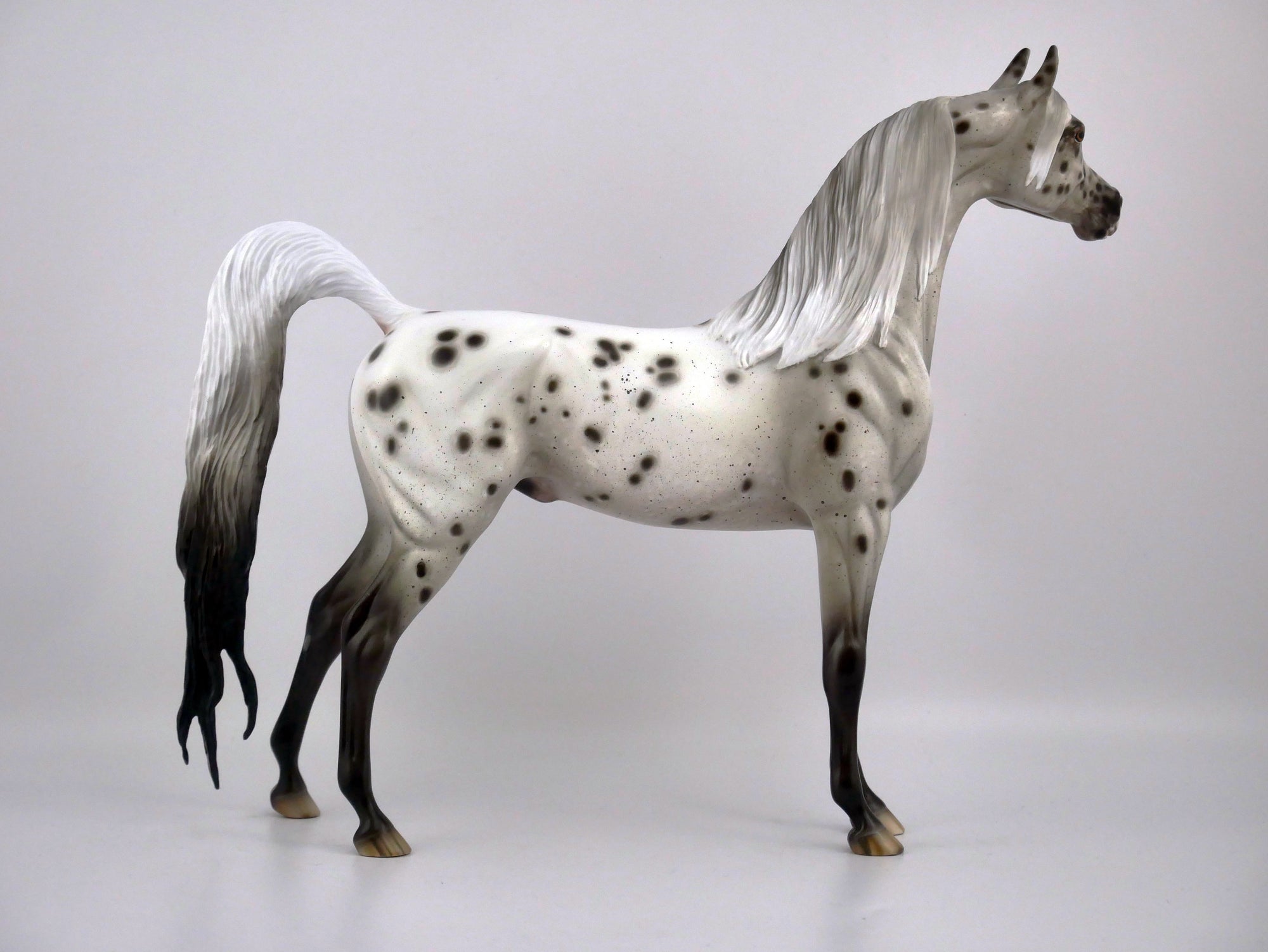INK WASH-OOAK LOUD APPALOOSA ARABIAN