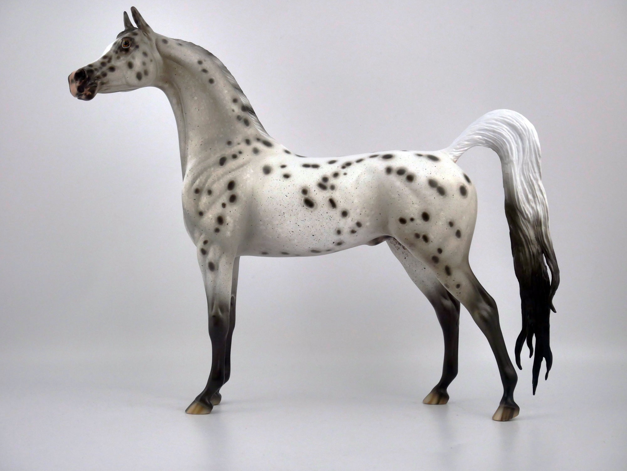 INK WASH-OOAK LOUD APPALOOSA ARABIAN