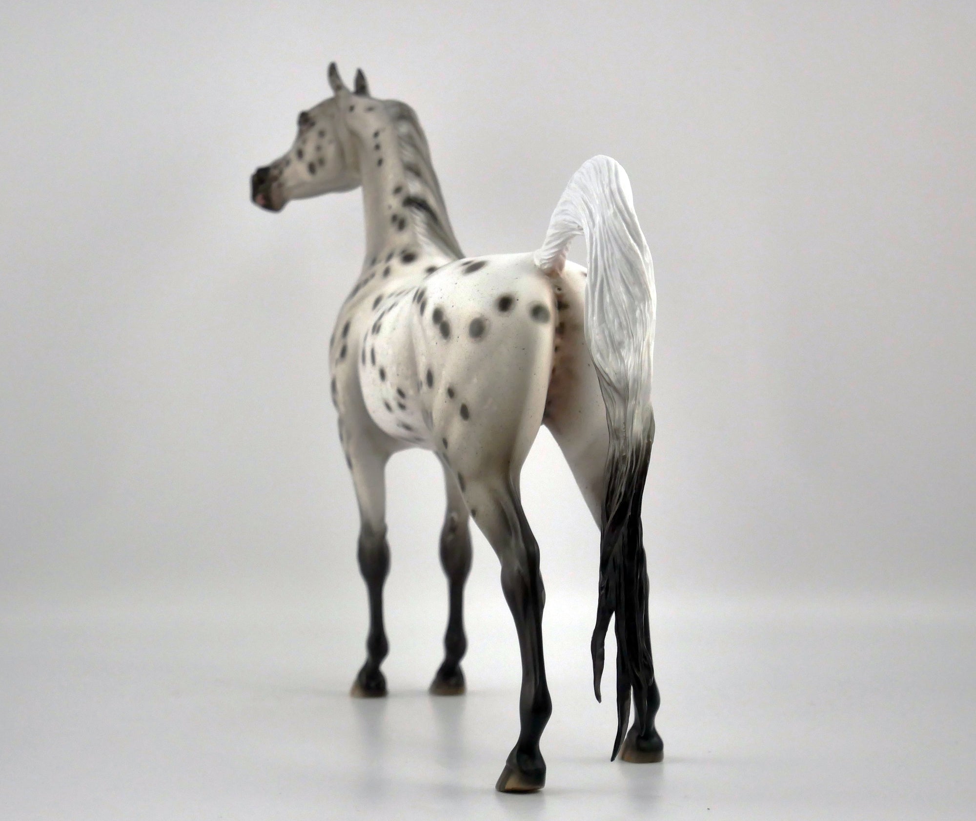 INK WASH-OOAK LOUD APPALOOSA ARABIAN