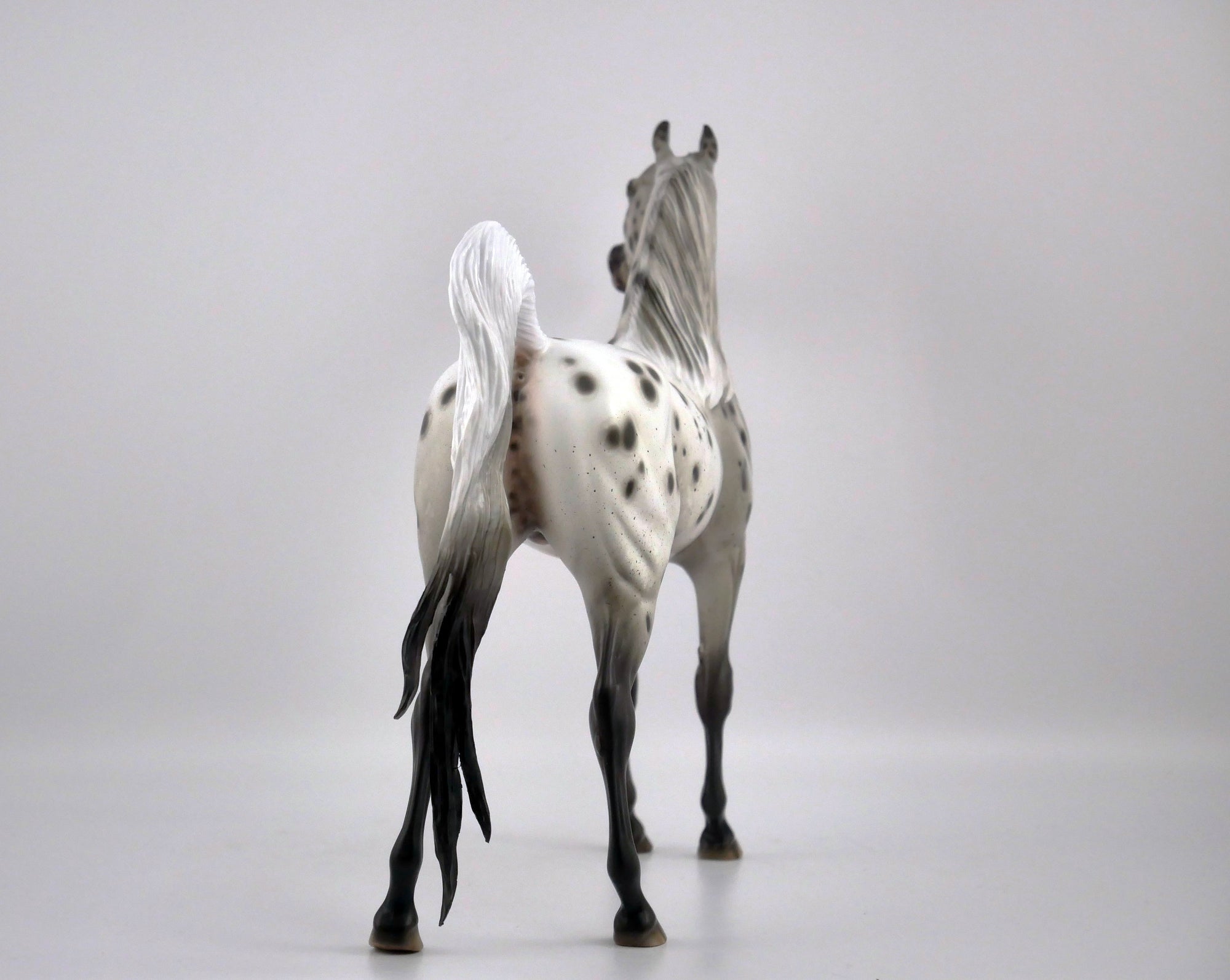 INK WASH-OOAK LOUD APPALOOSA ARABIAN