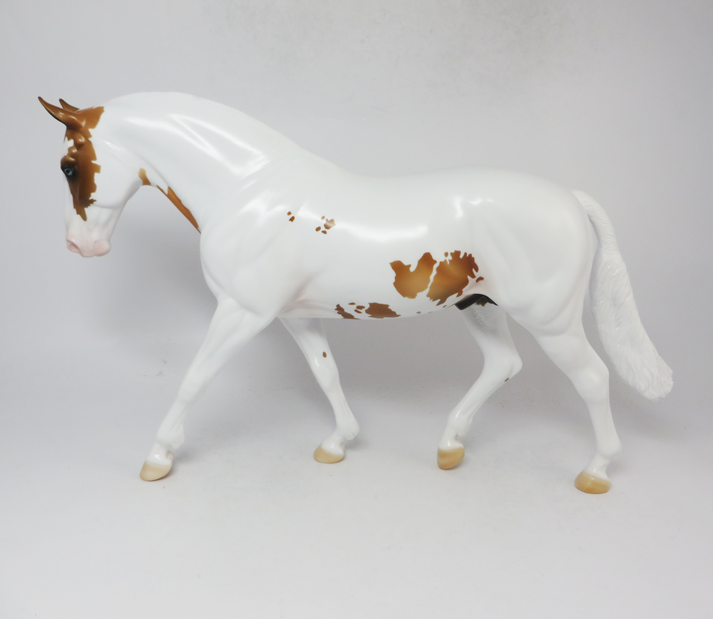 NO LIMITS- LE-8- PALOMINO PINTO  IRISH DRAFT SB 19 BY AMANDA