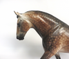 ROB ROY- OOAK DAPPLED GREY IRISH DRAFTER BY SHERYL LEISURE 3-15-19